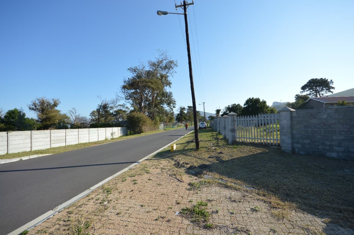 Image 8