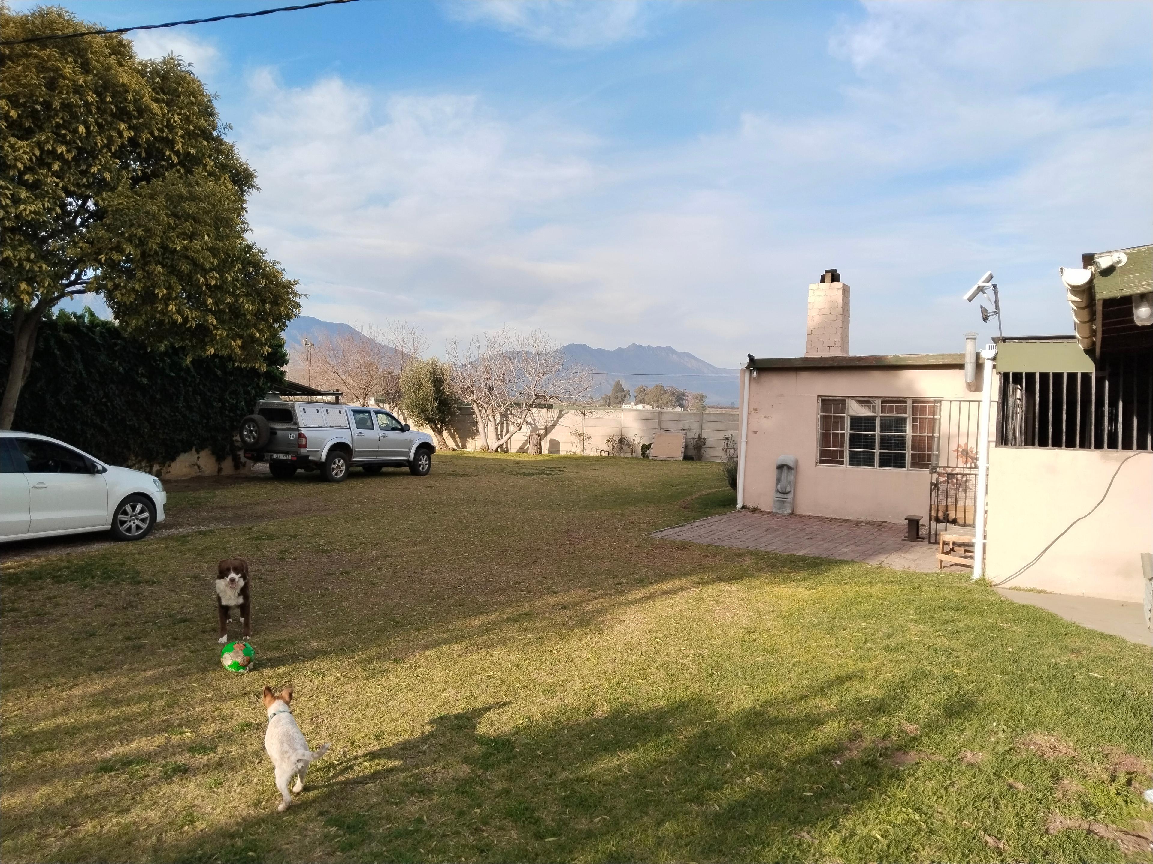 Image 6