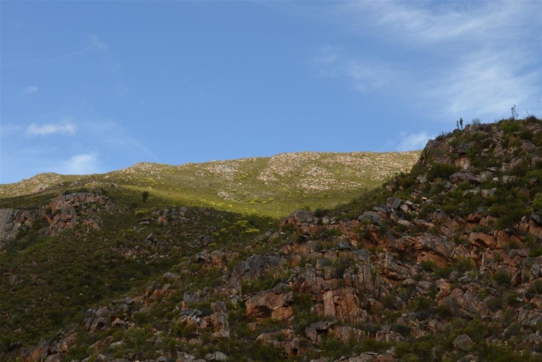 Image 52