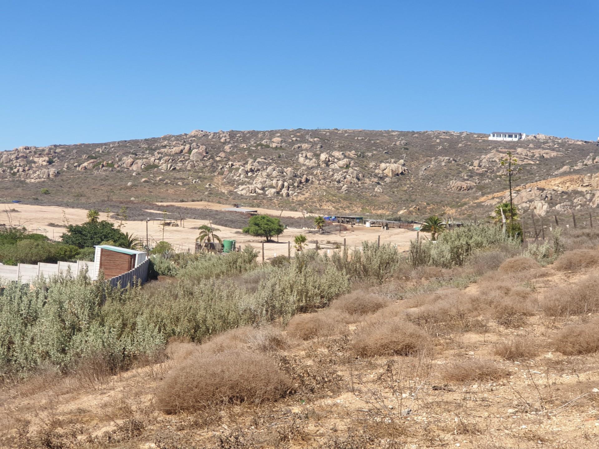 Image 14