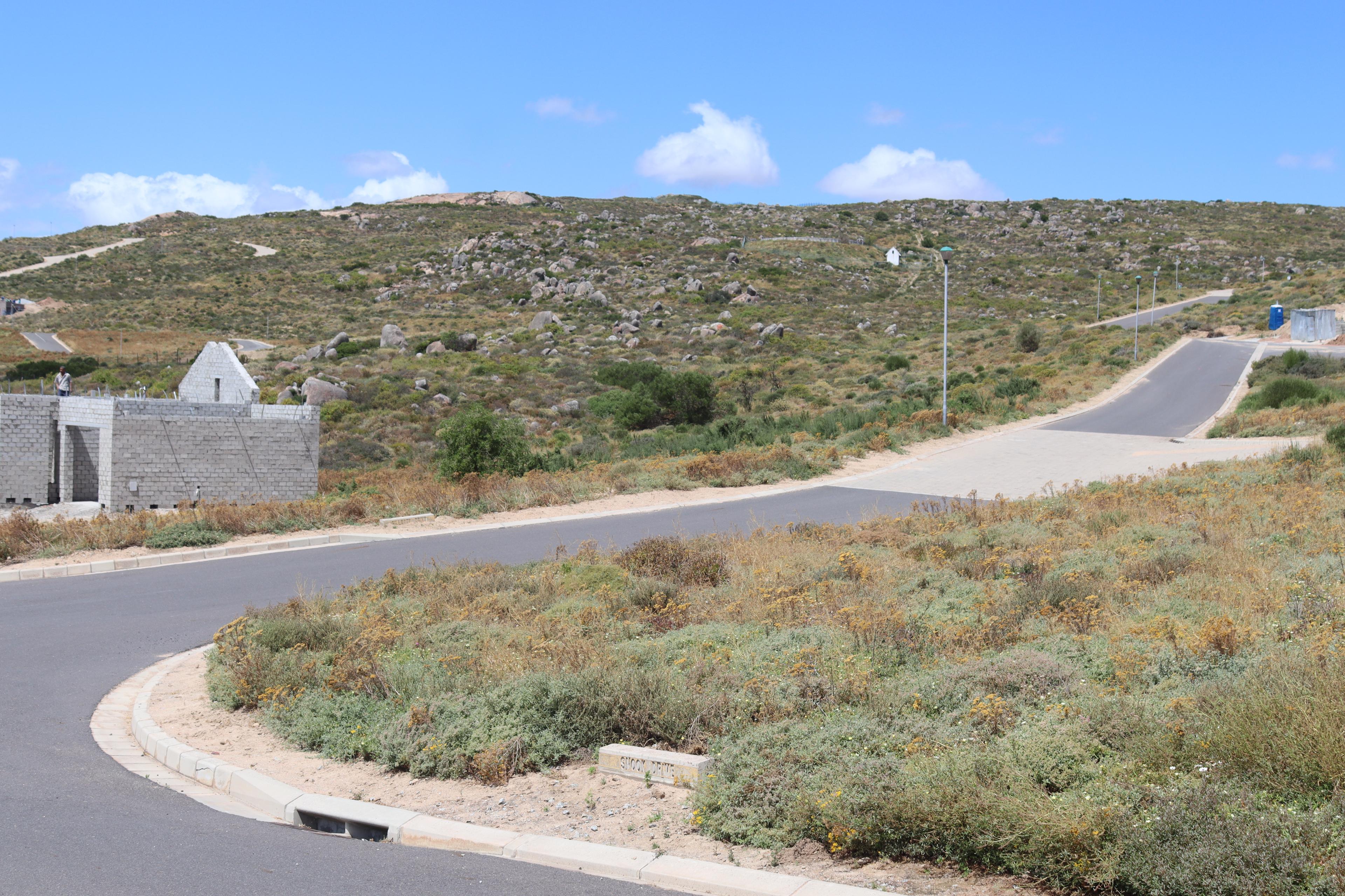 Image 4 of 6