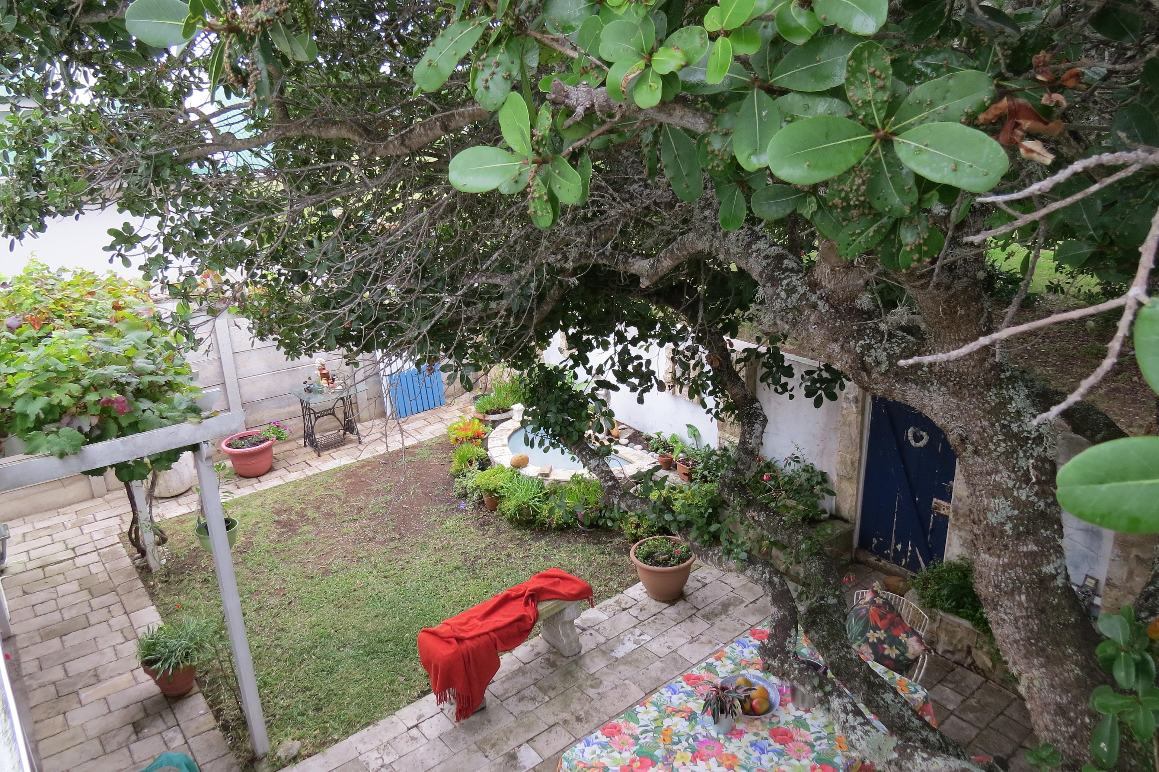 Image 33