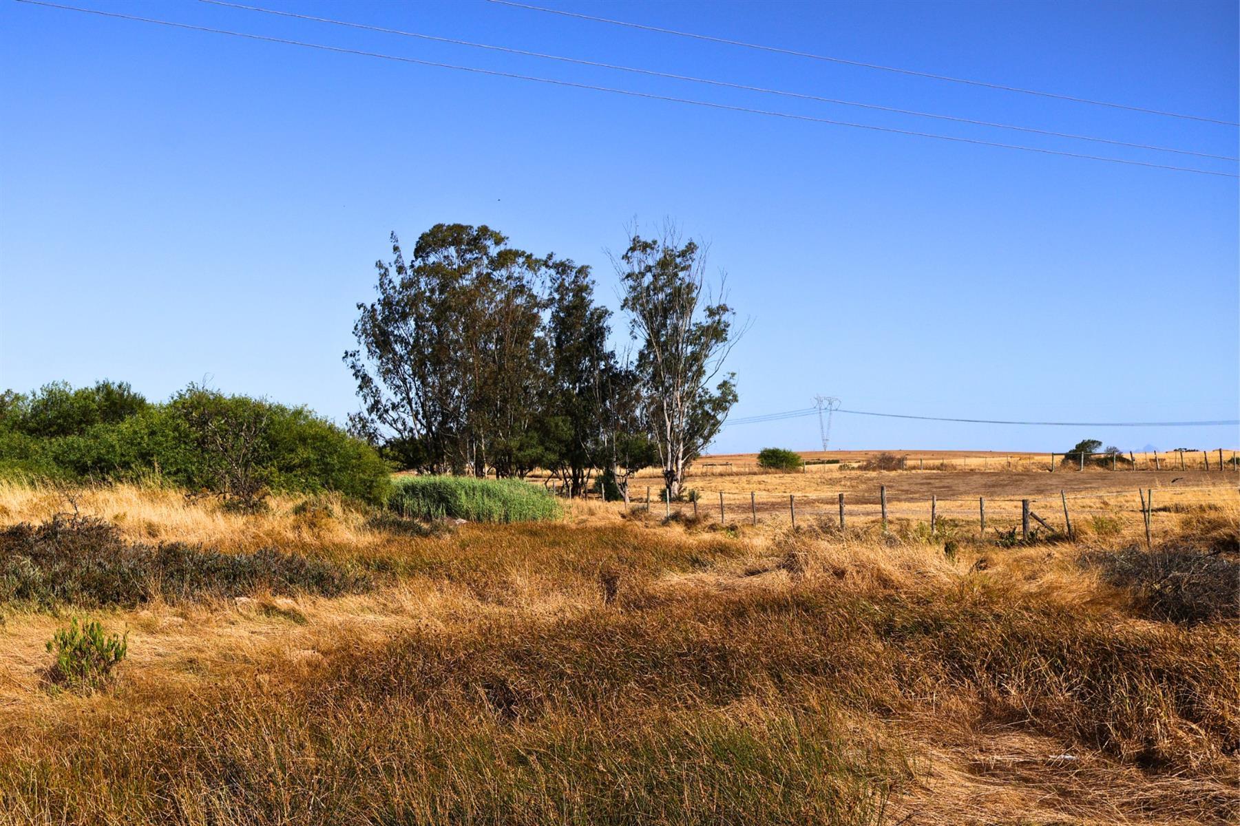 Image 39