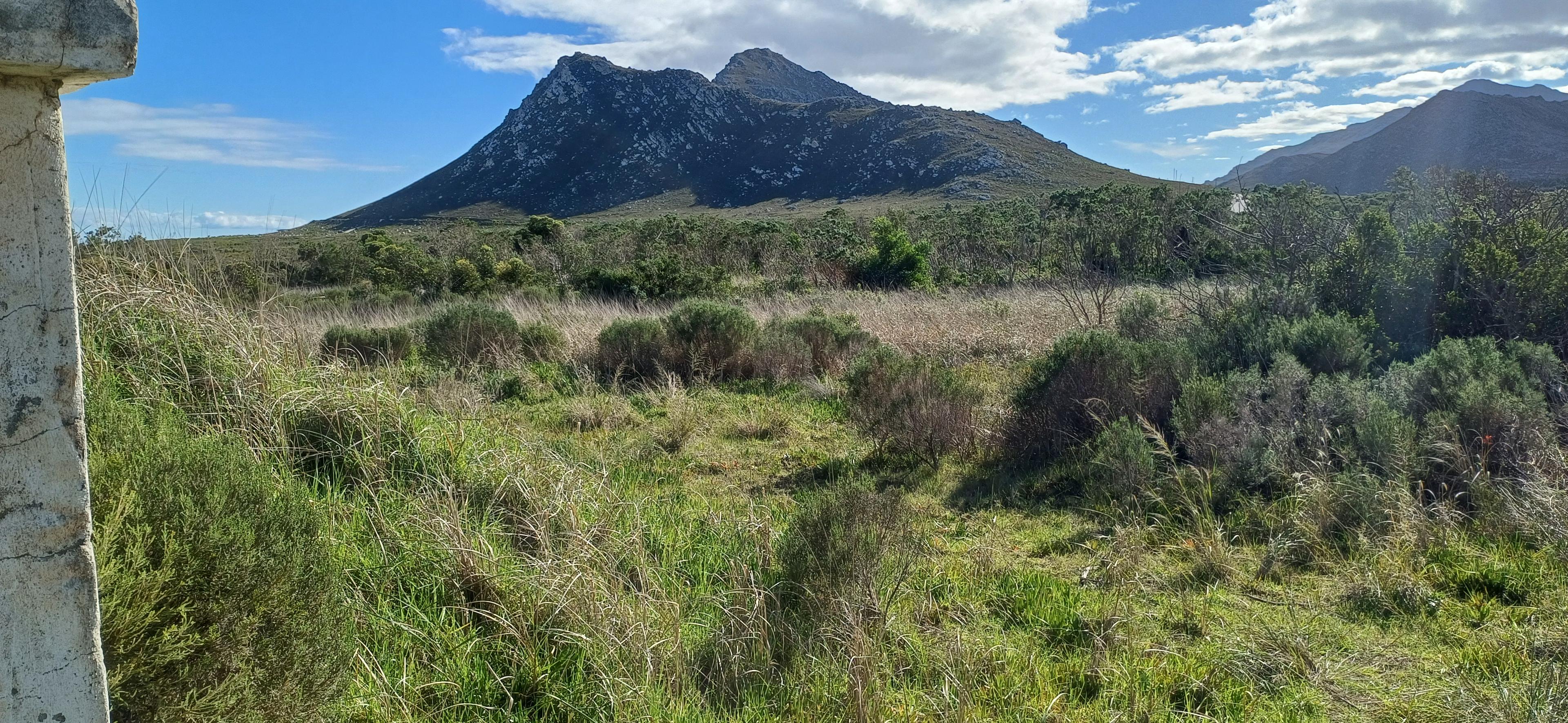Image 2 of 6