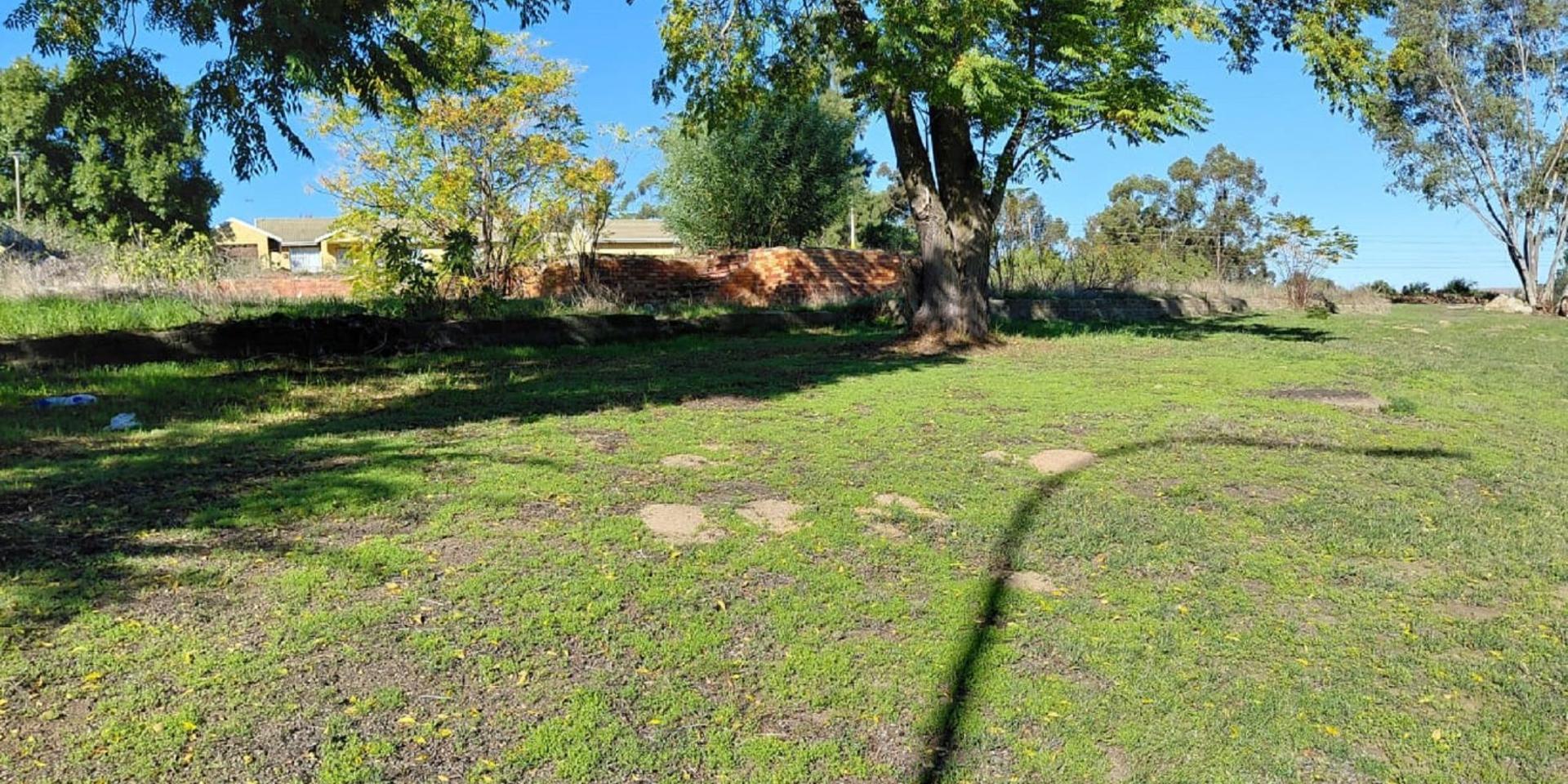 Image 4 of 6