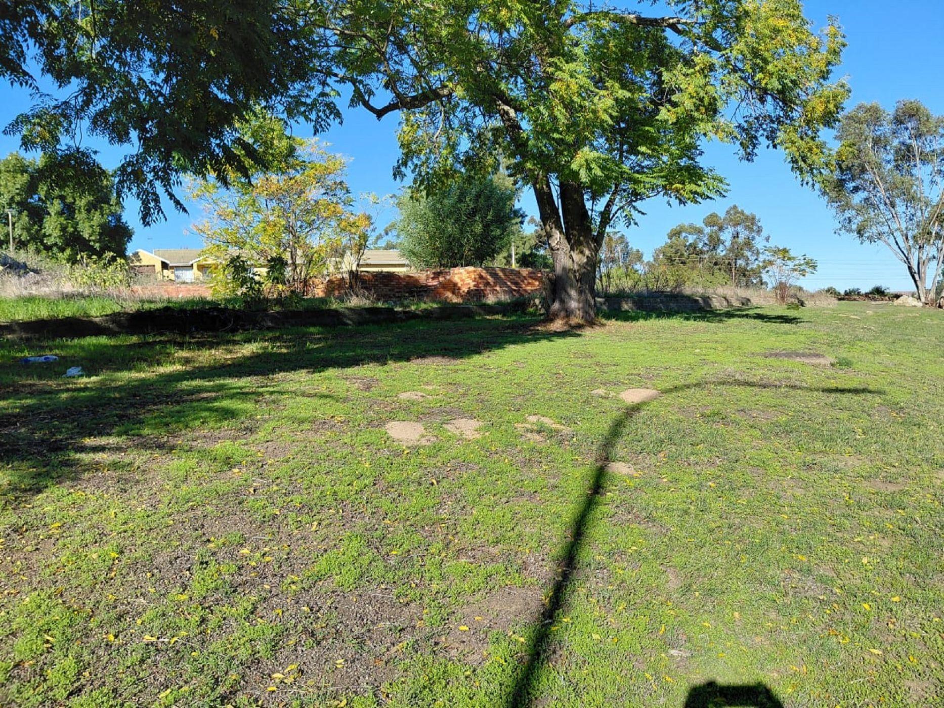 Image 4 of 6