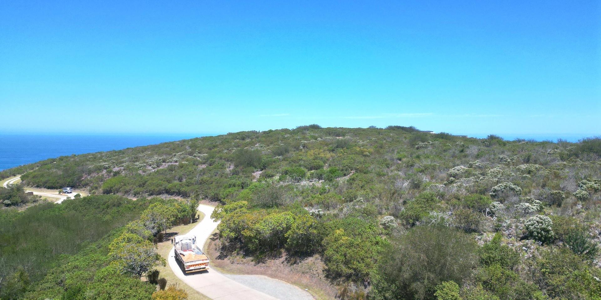 Image 4 of 6