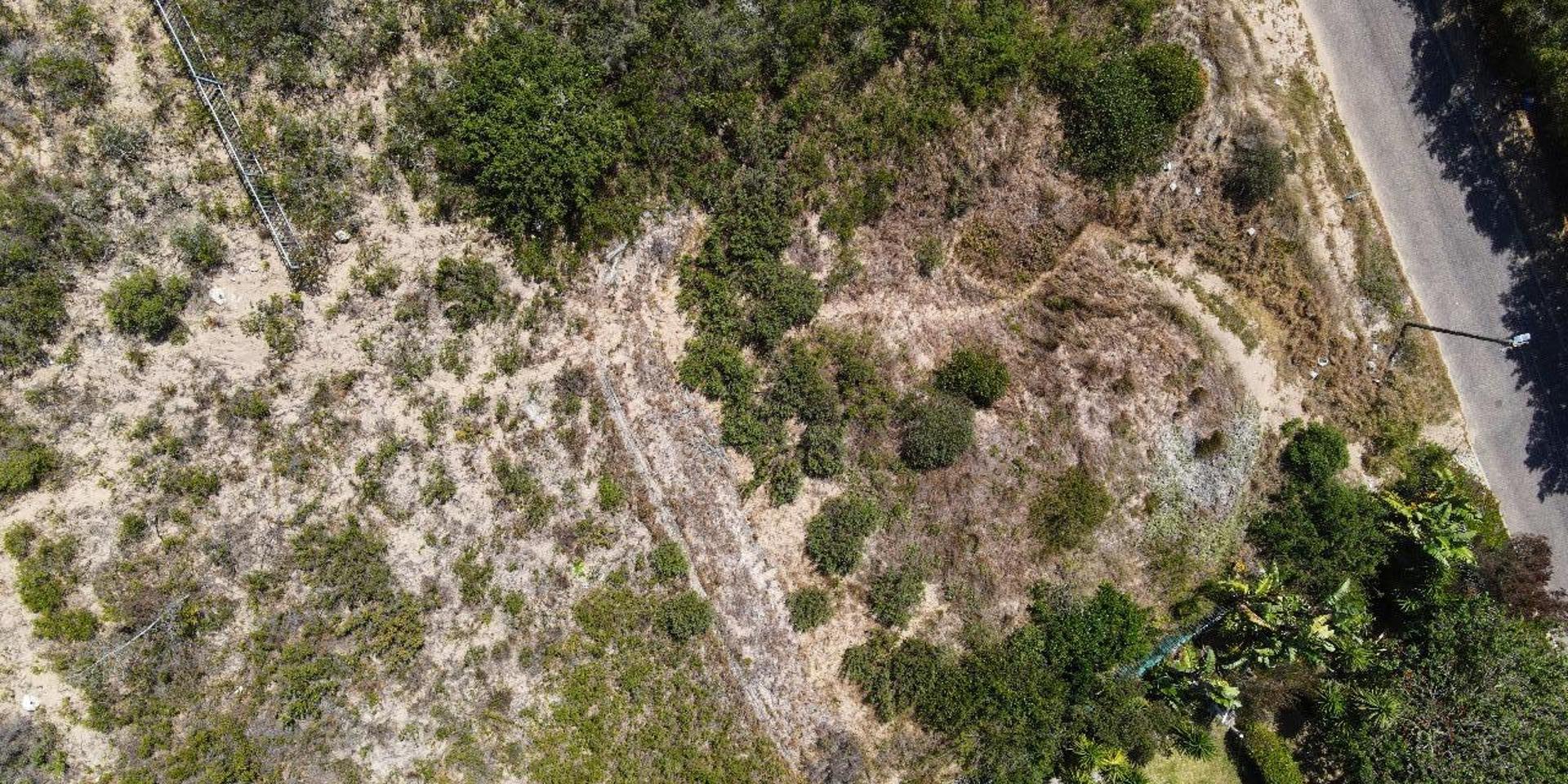 Image 2 of 6