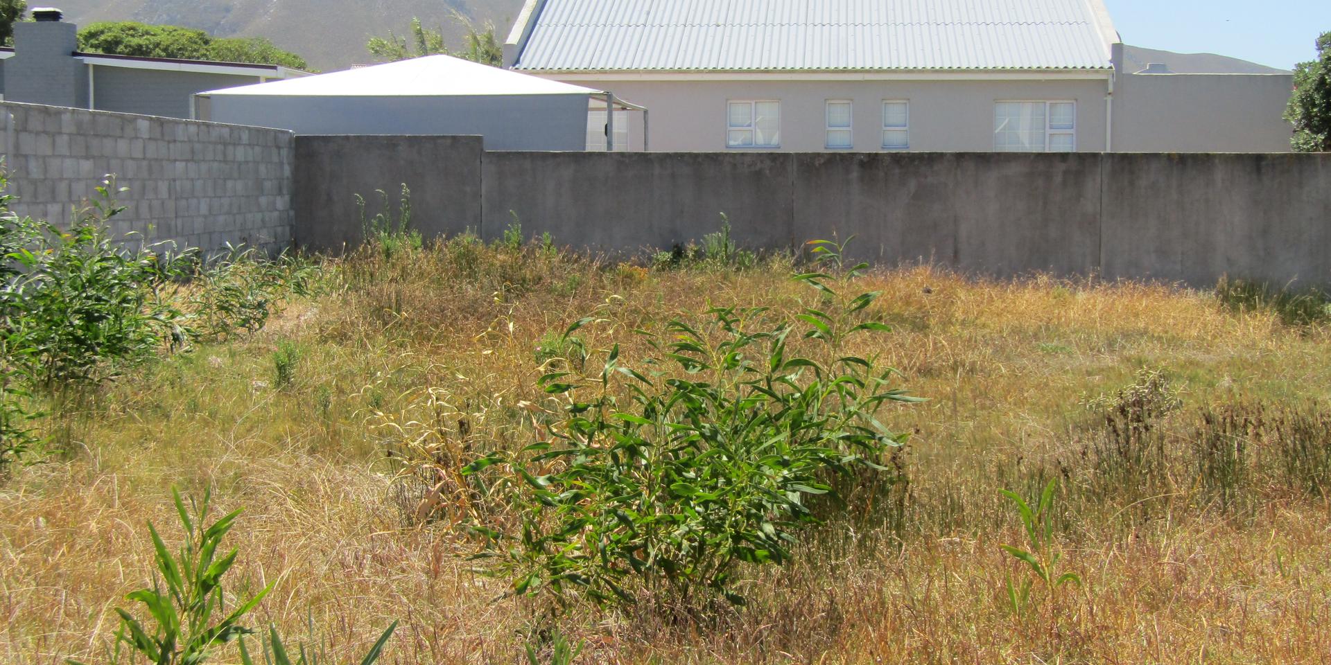 Image 4 of 6