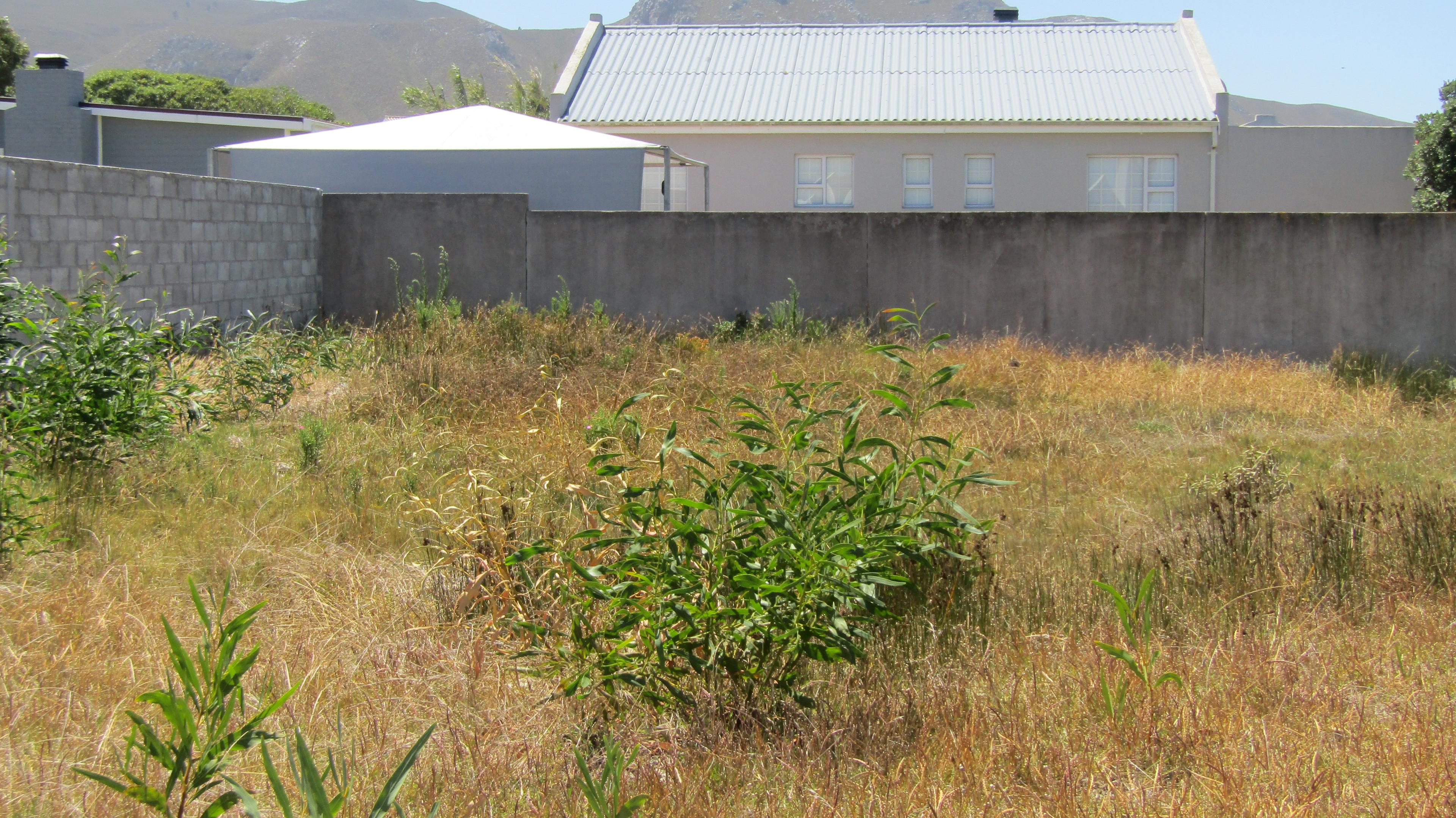 Image 4 of 6