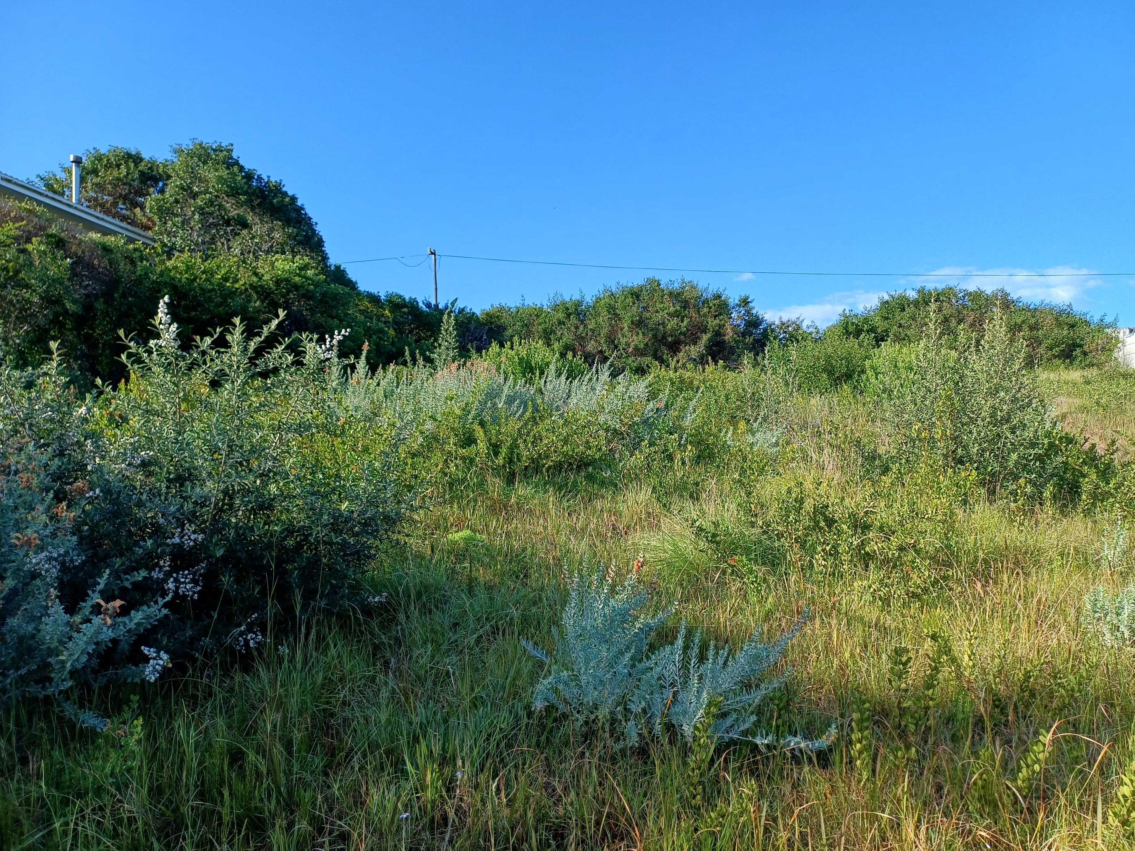 Image 2 of 6