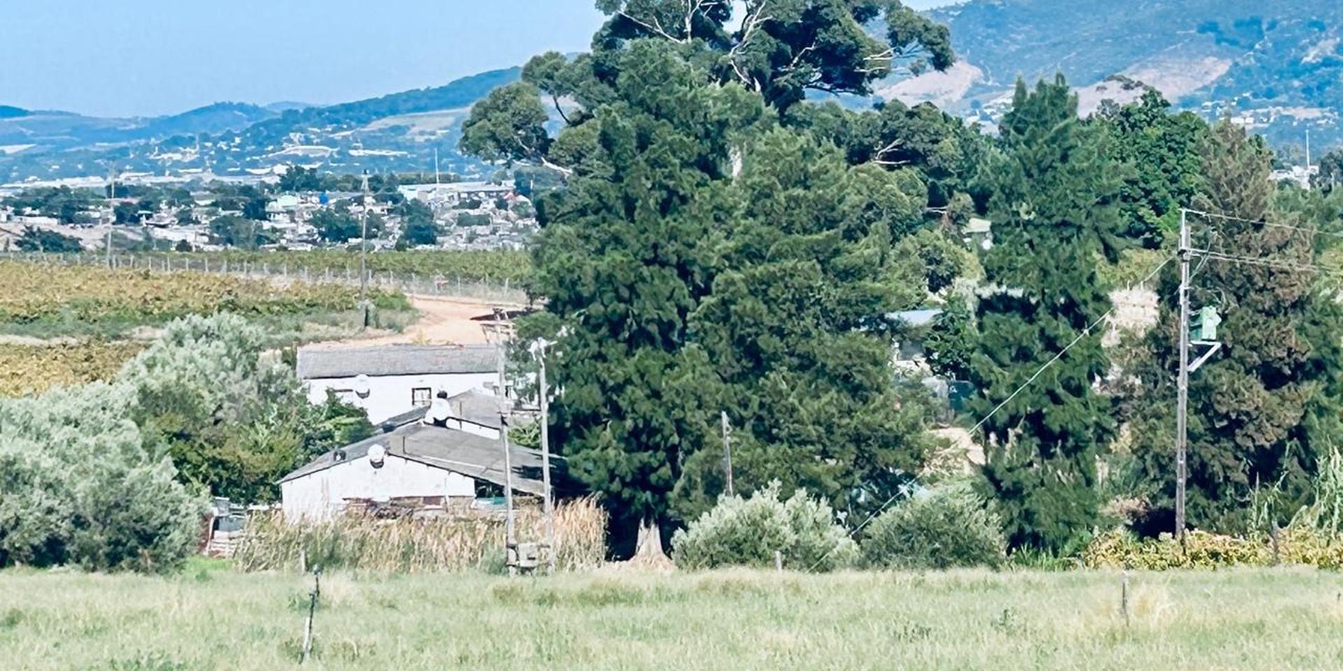 Image 2 of 6