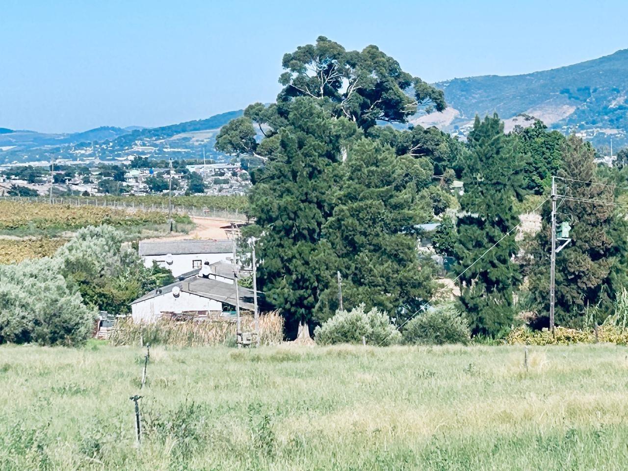 Image 2 of 6