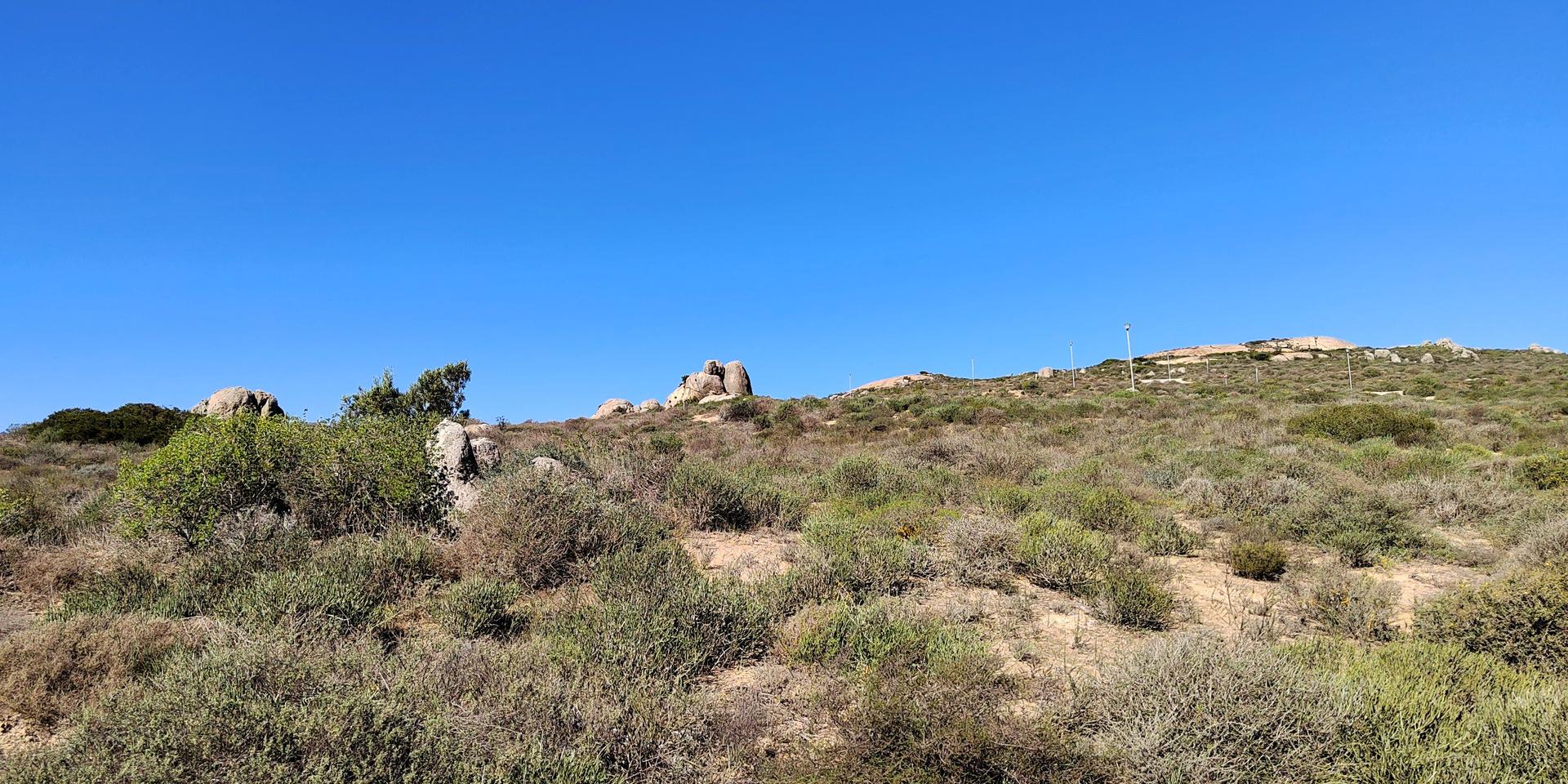 Image 2 of 6