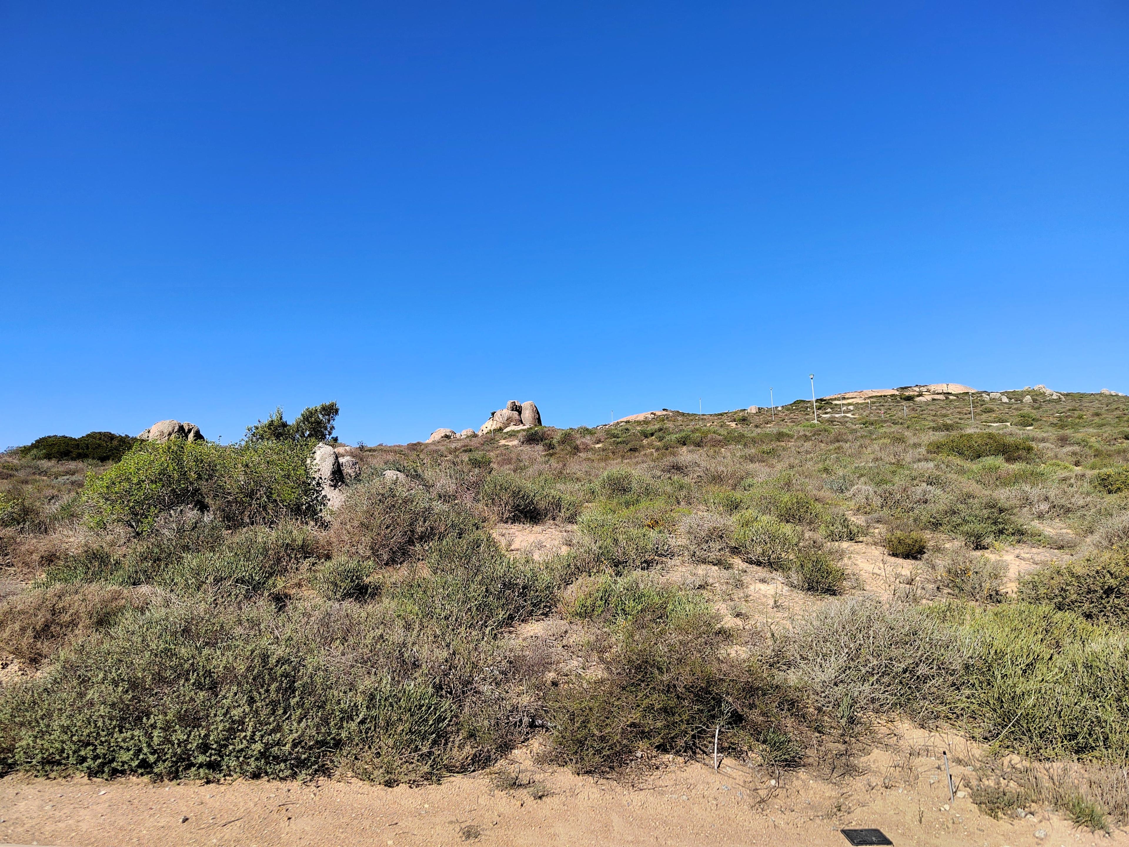 Image 2 of 6