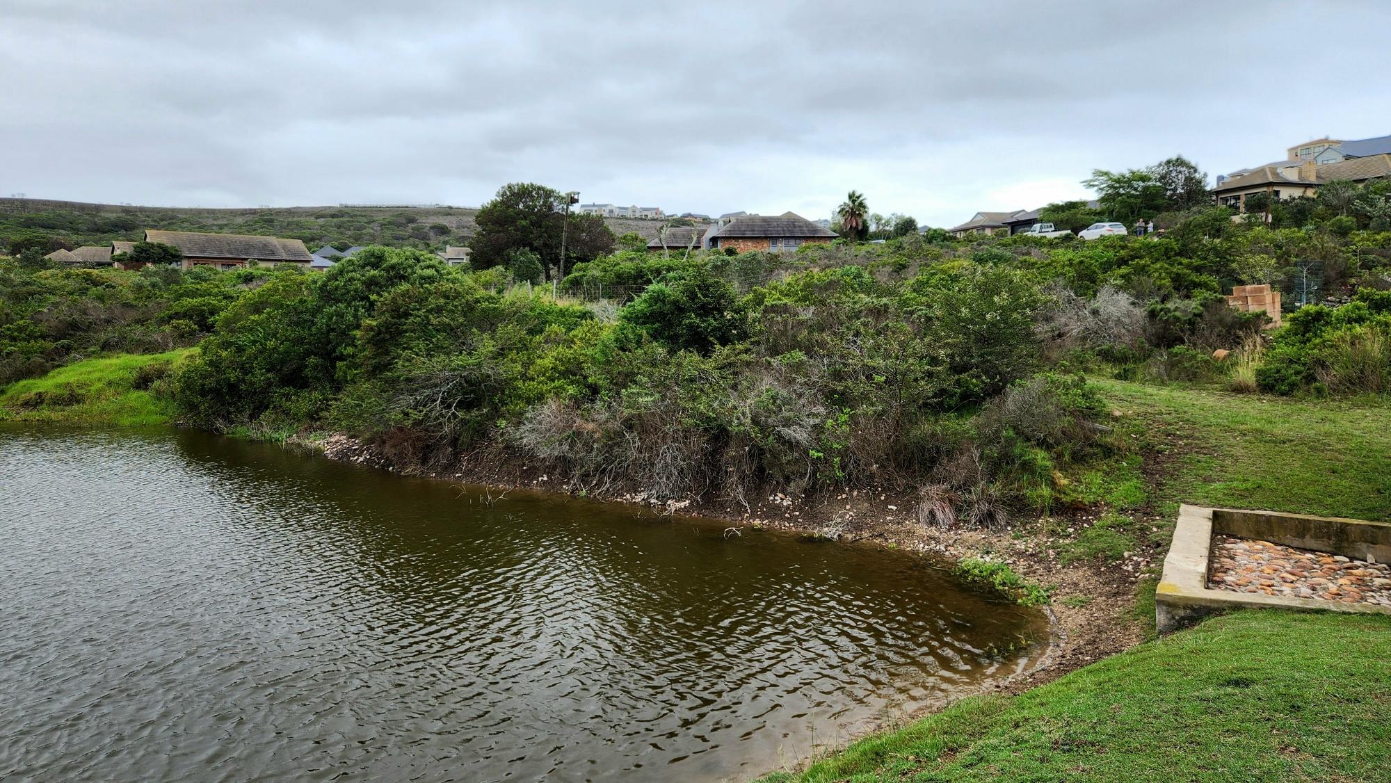 Image 14