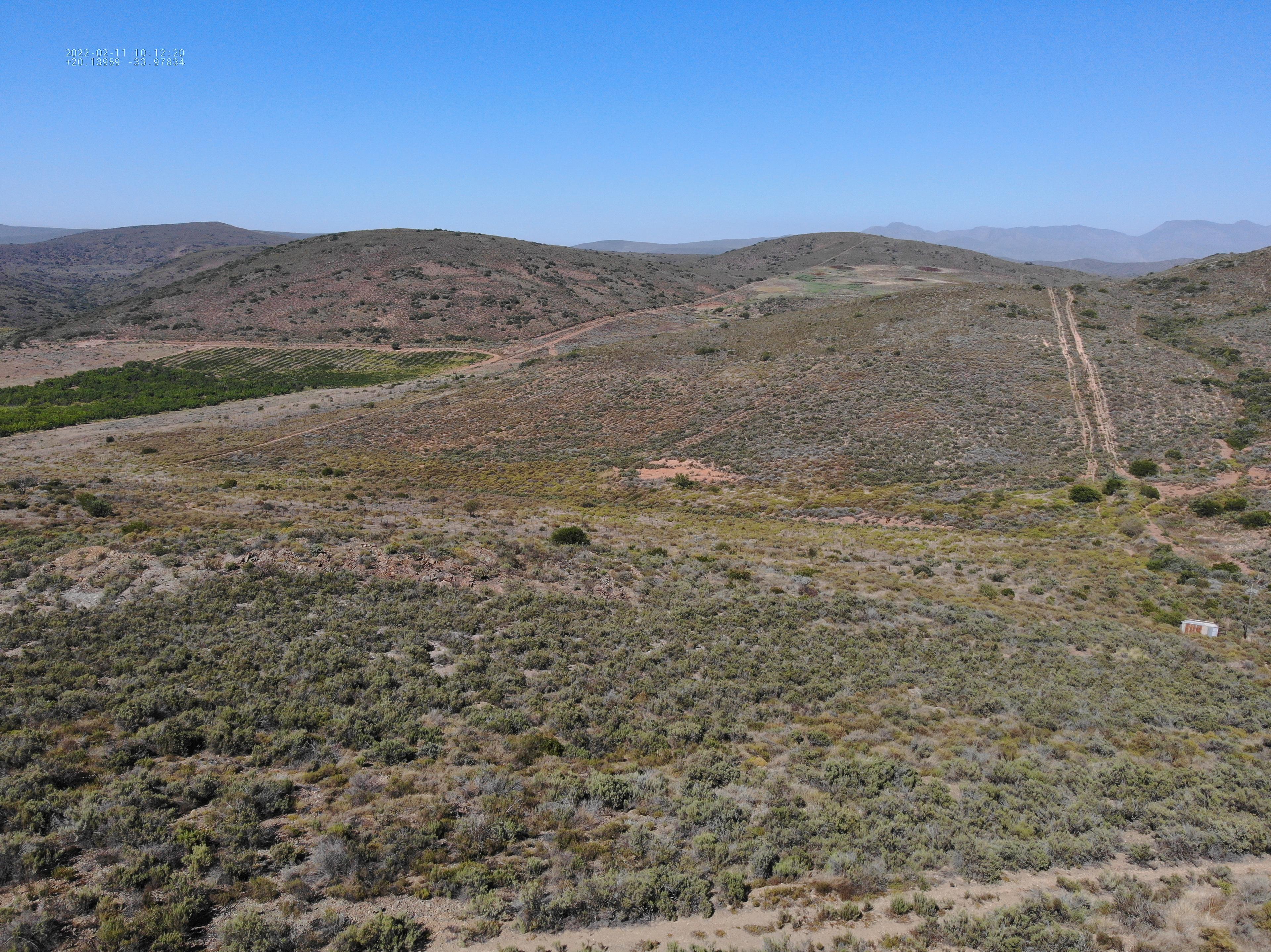 Image 38