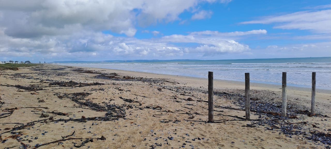 Image 15