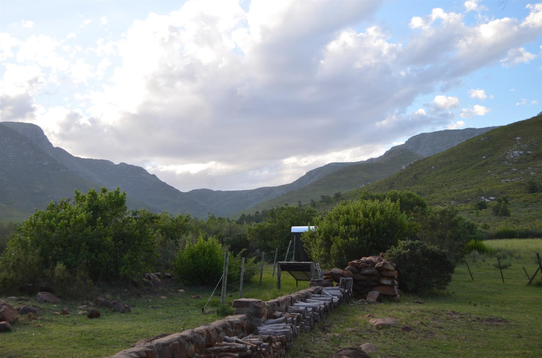Image 33