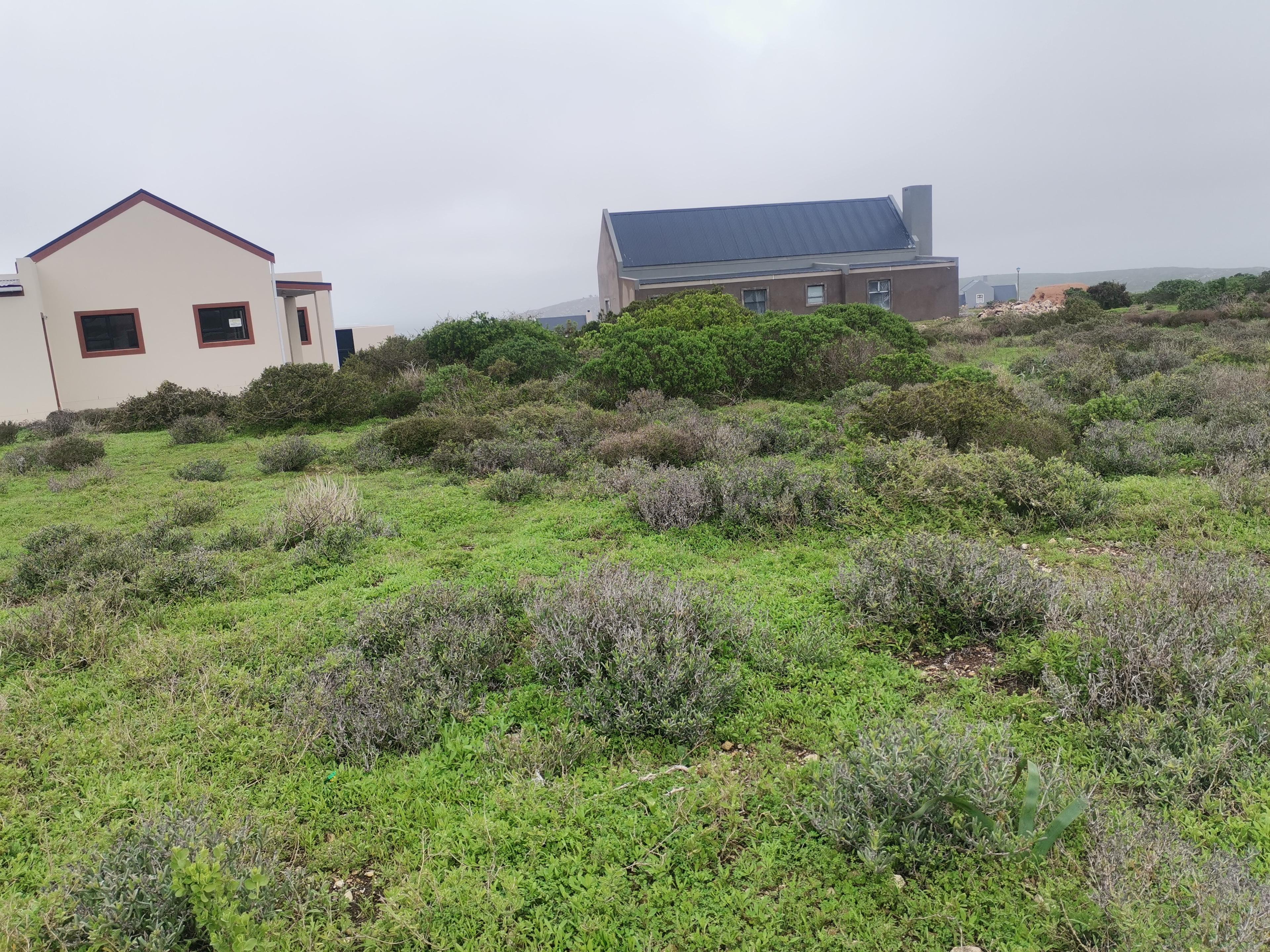 Image 5 of 6
