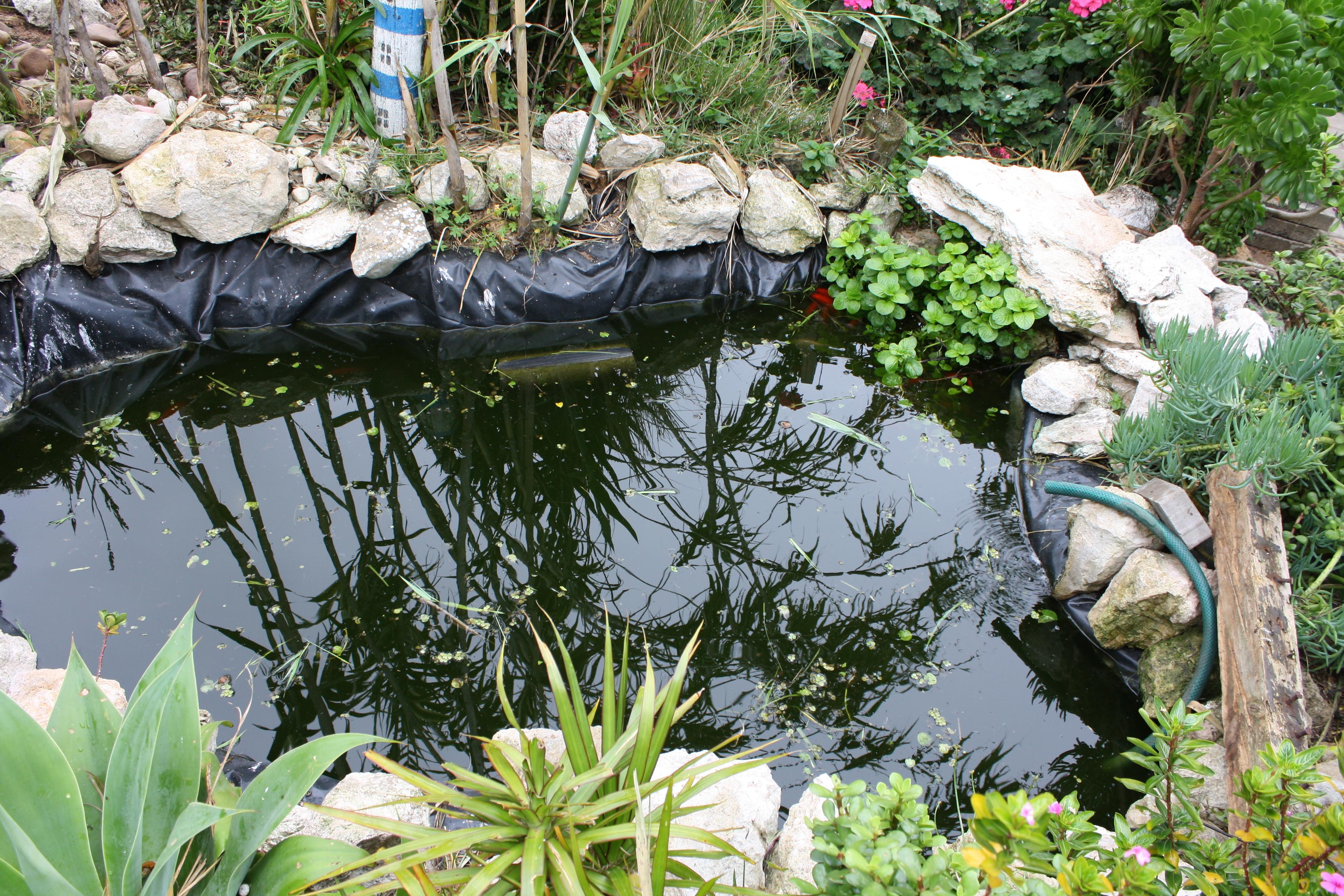 Image 32