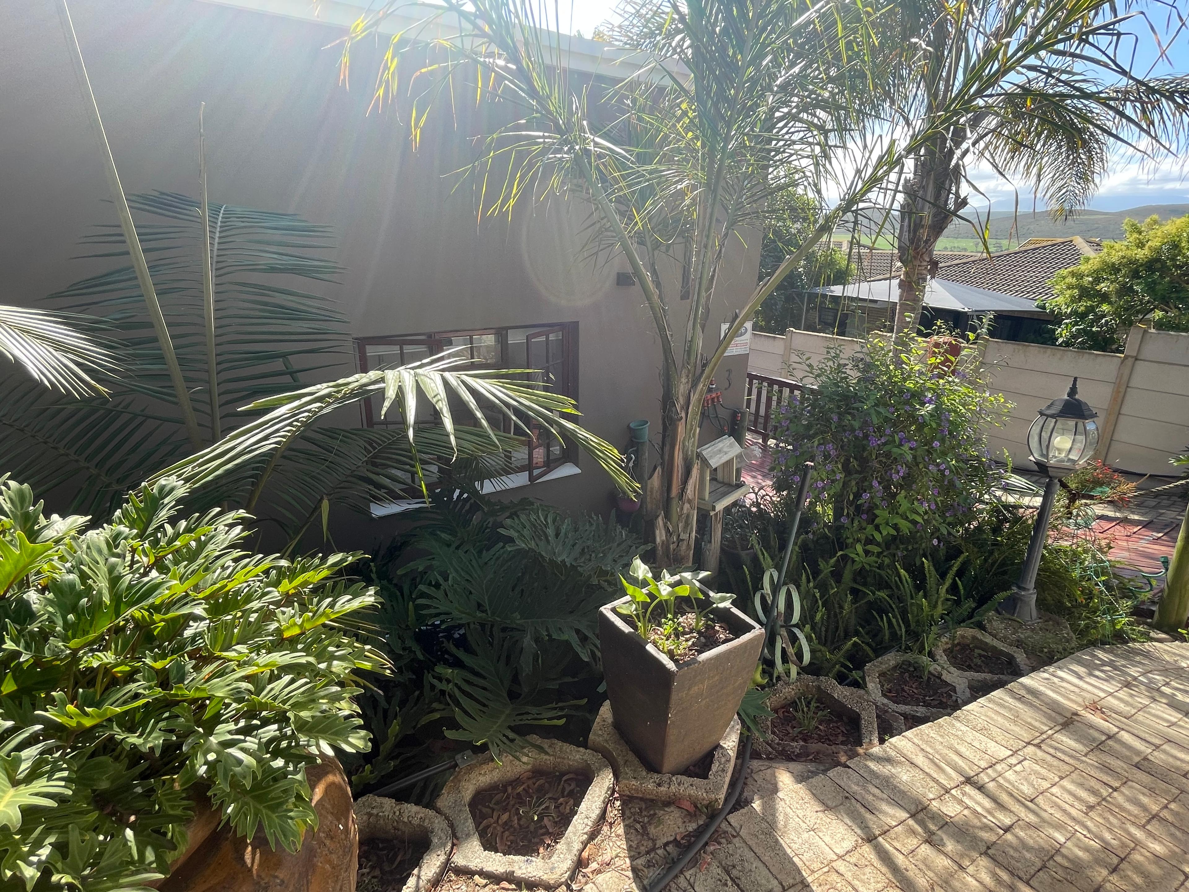 Image 30