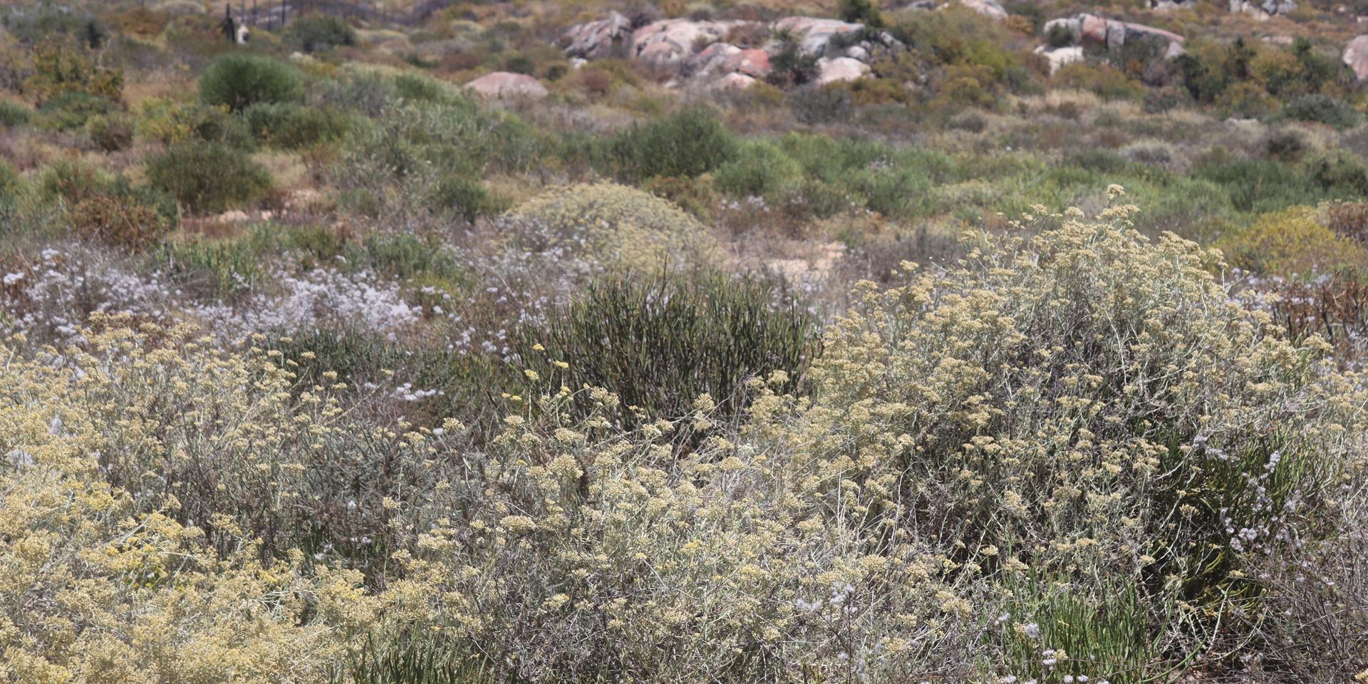 Image 5 of 6