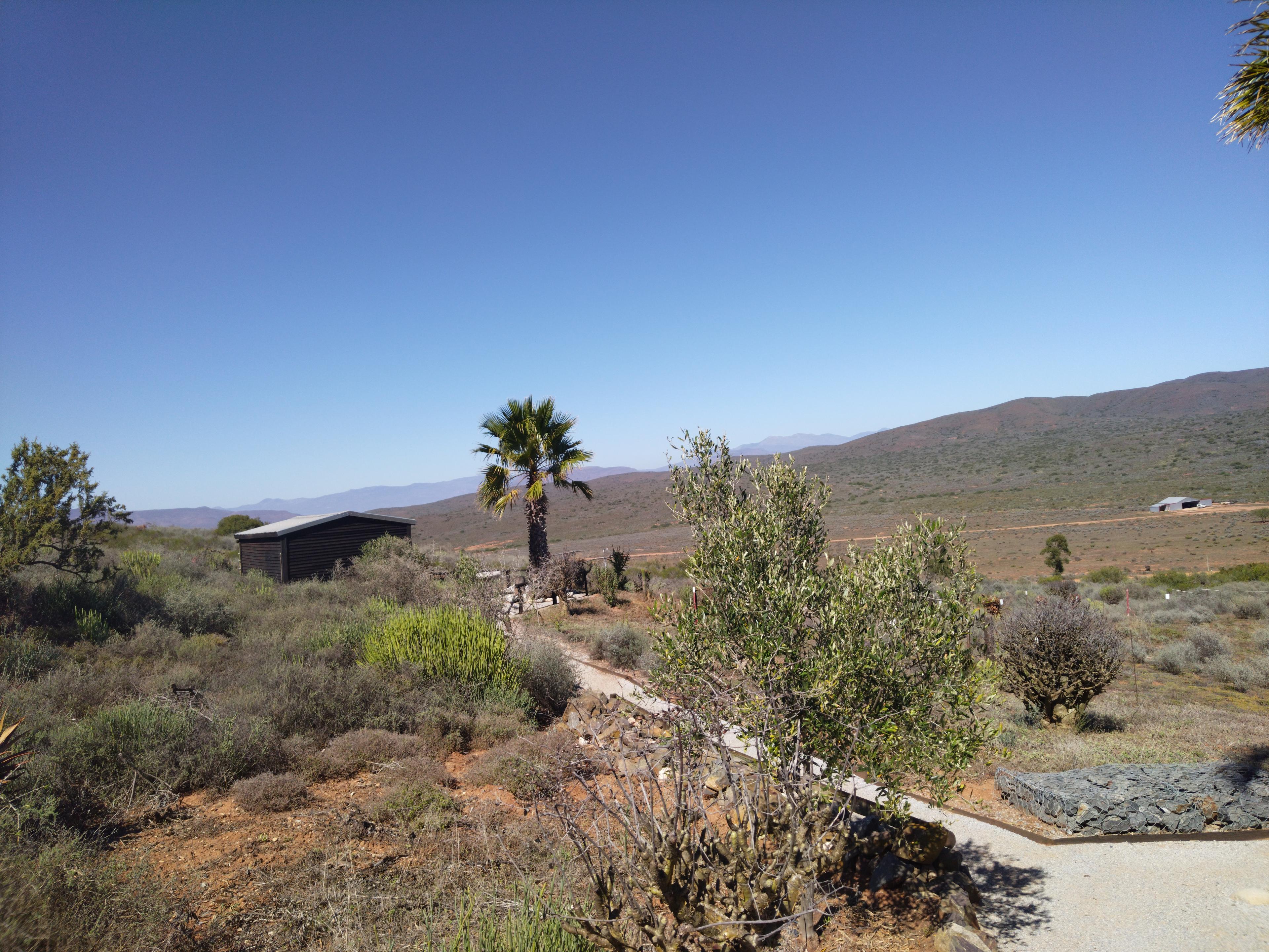 Image 3 of 6