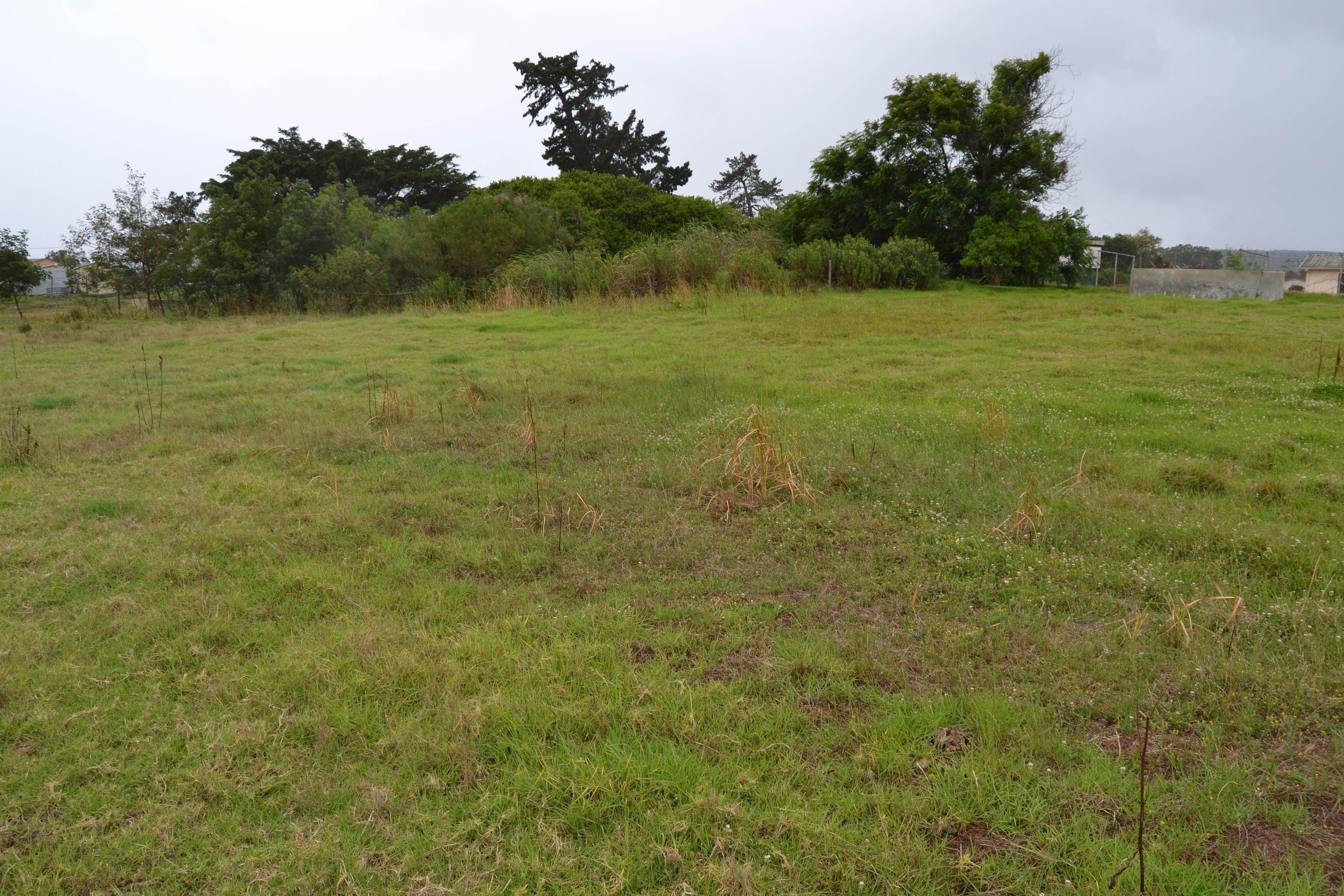 Image 5 of 6