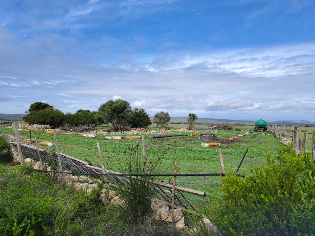 Image 1 of 6