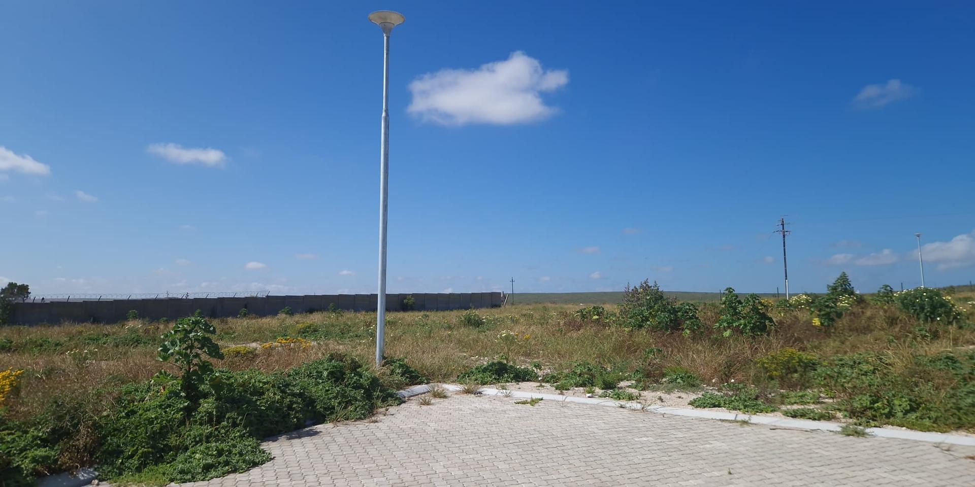 Image 4 of 6