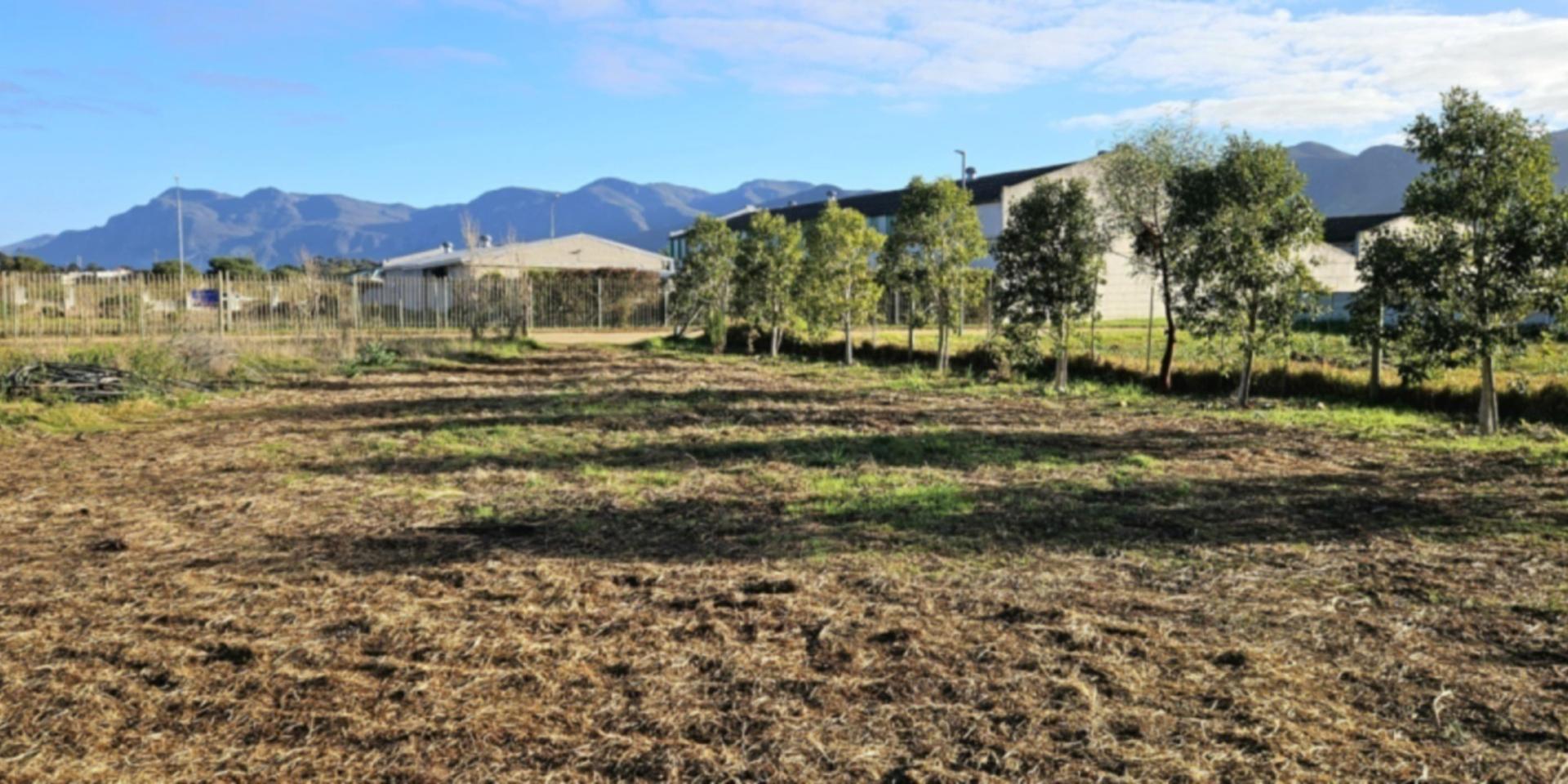 Image 4 of 6