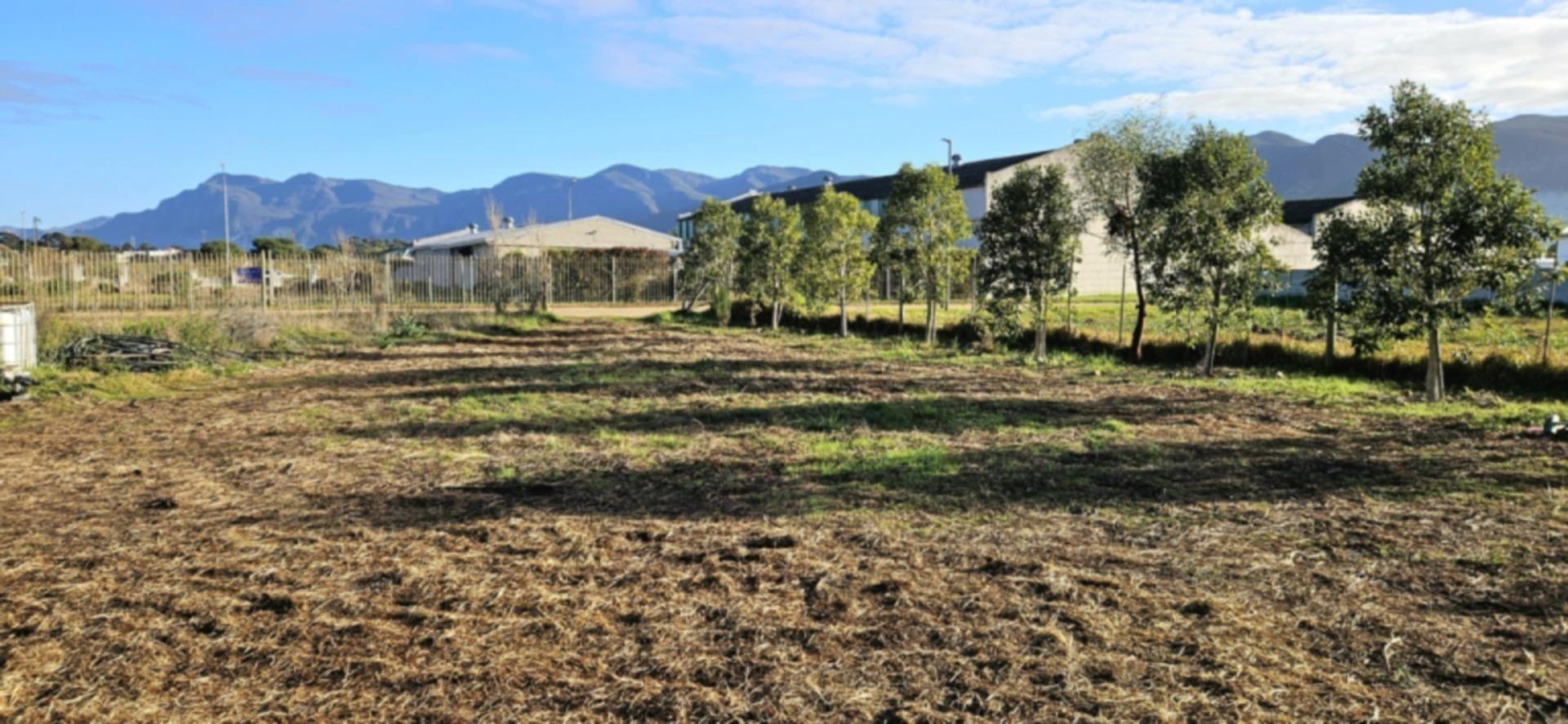 Image 4 of 6