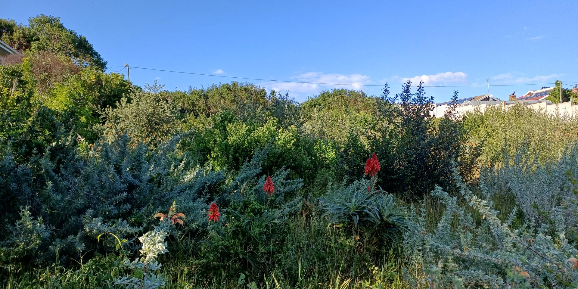 Image 4 of 6