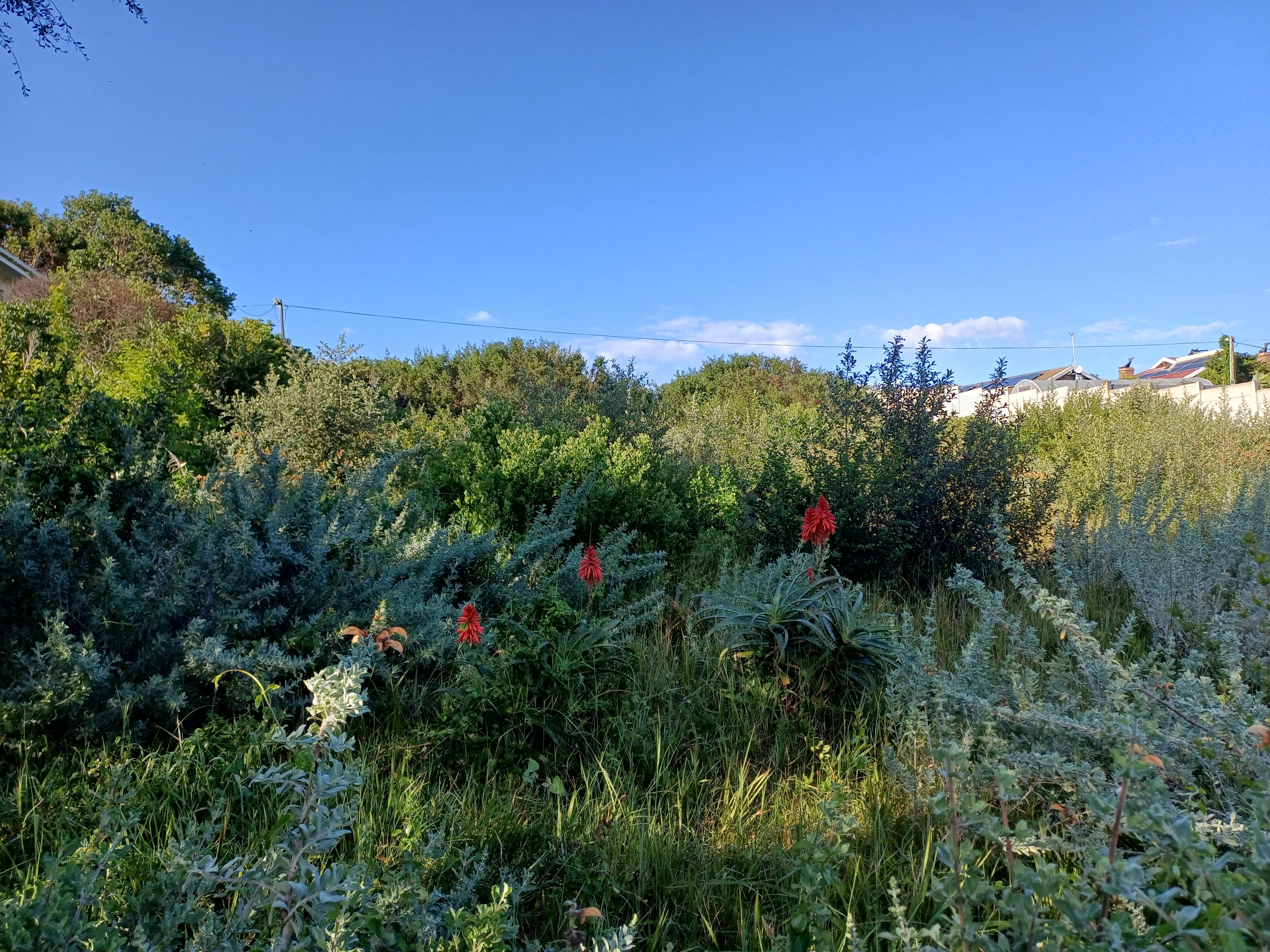 Image 4 of 6