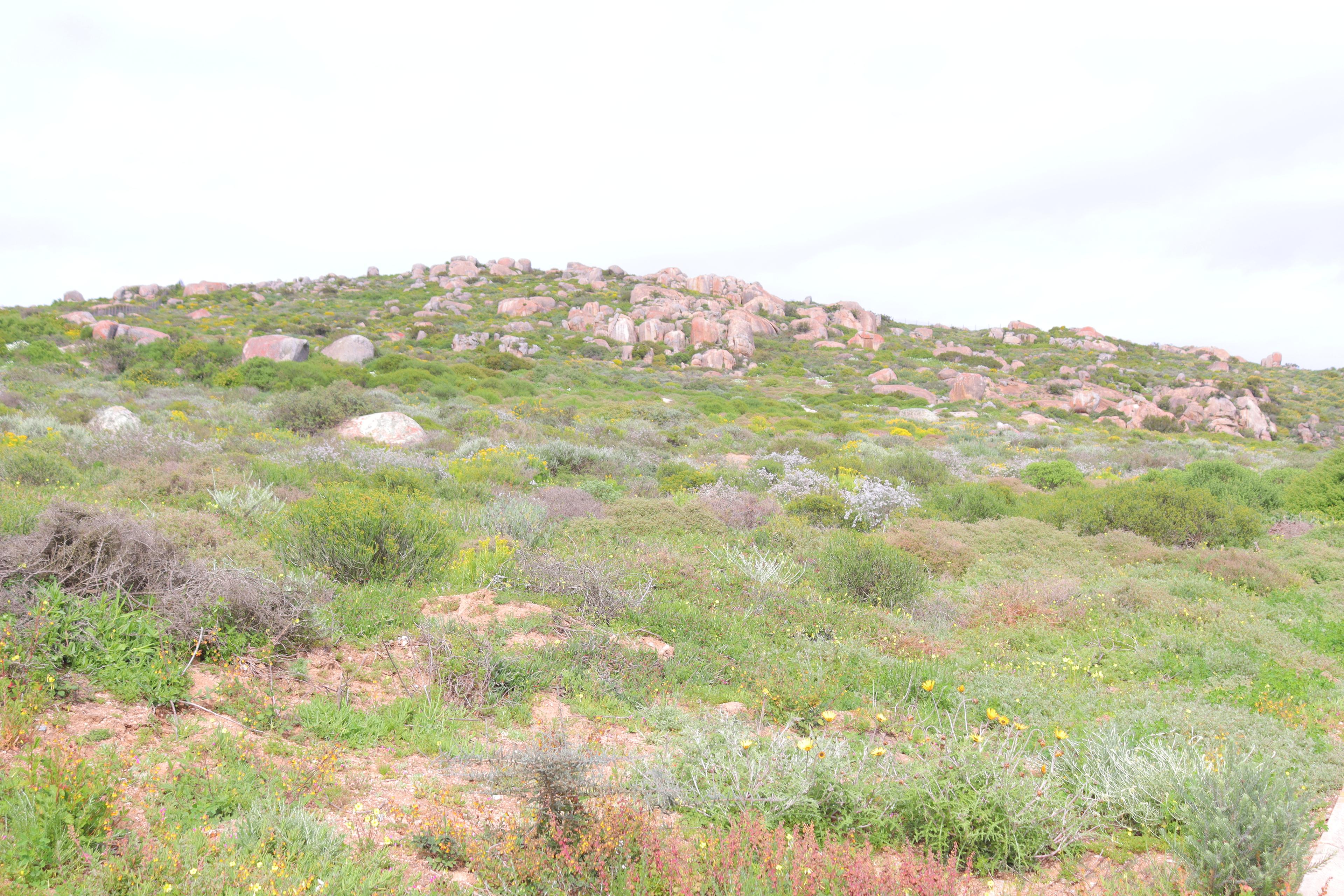 Image 4 of 6