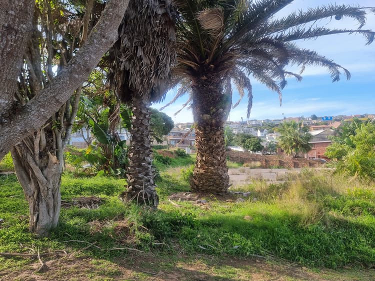 Main property image
