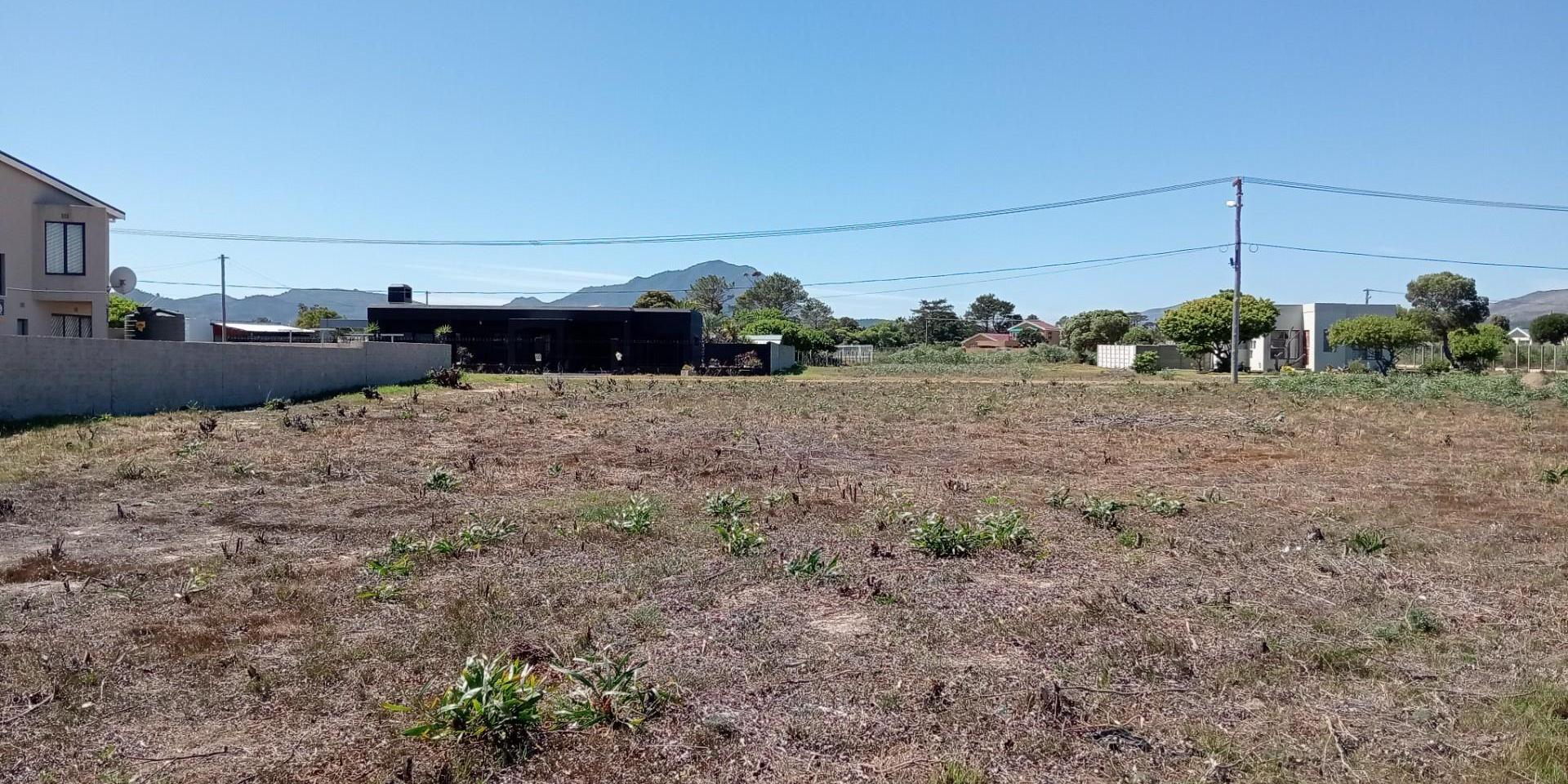 Image 2 of 6