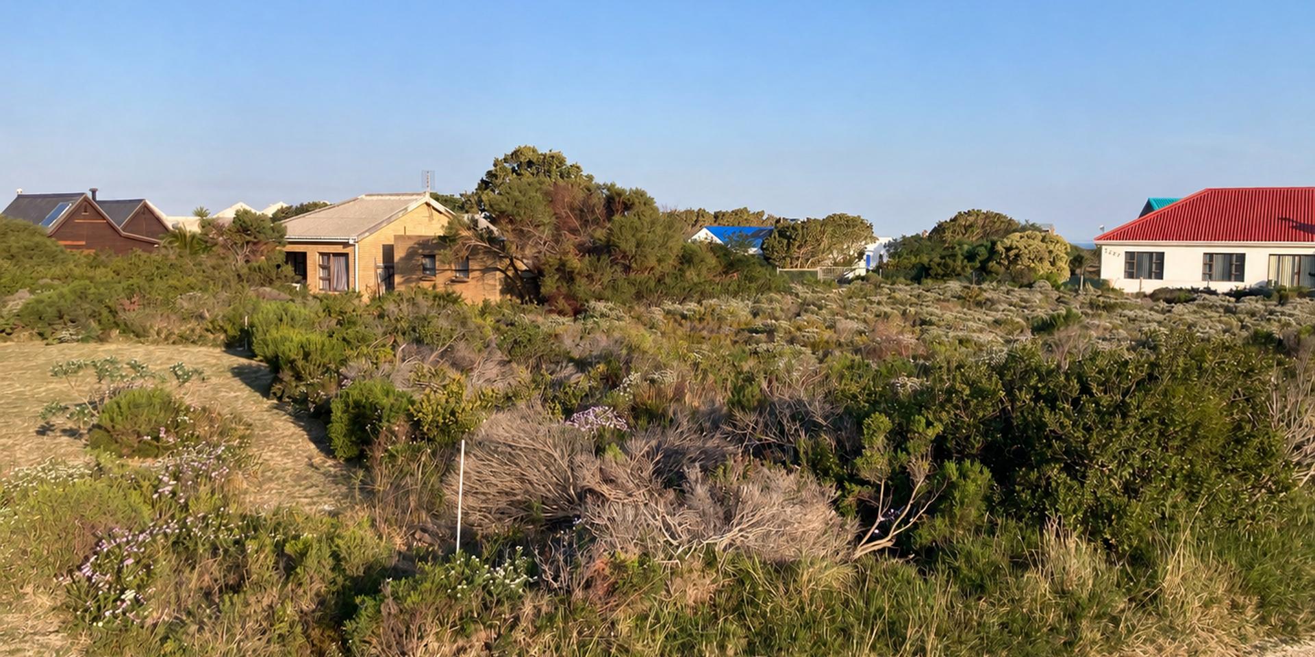 Image 4 of 6