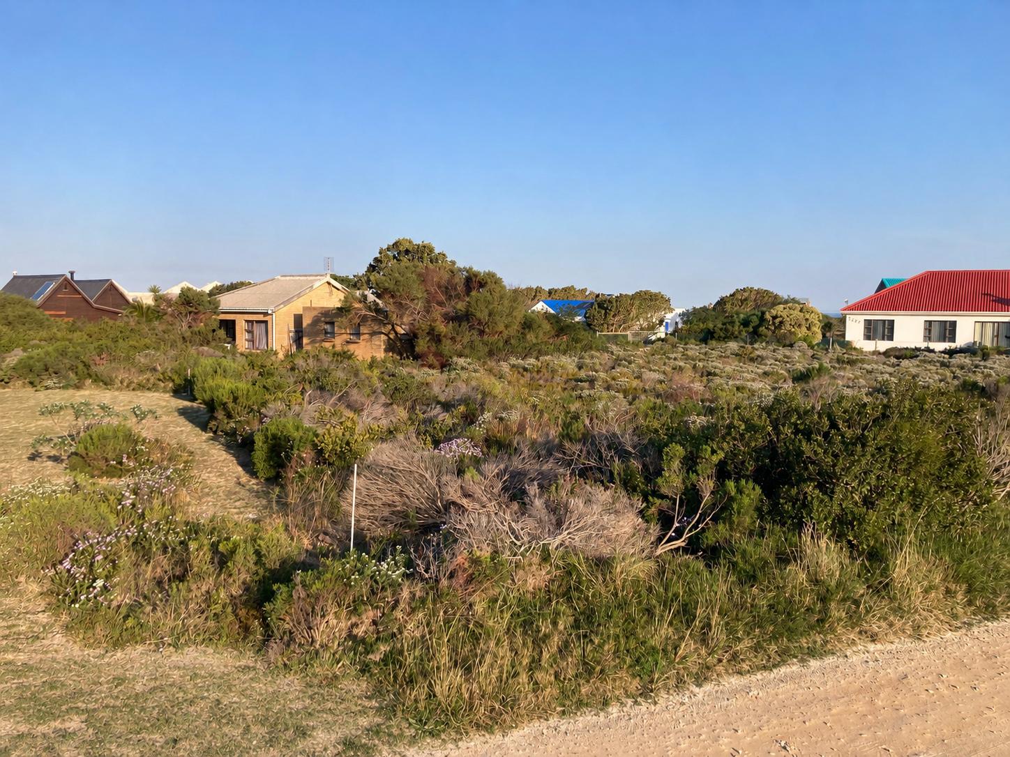 Image 4 of 6