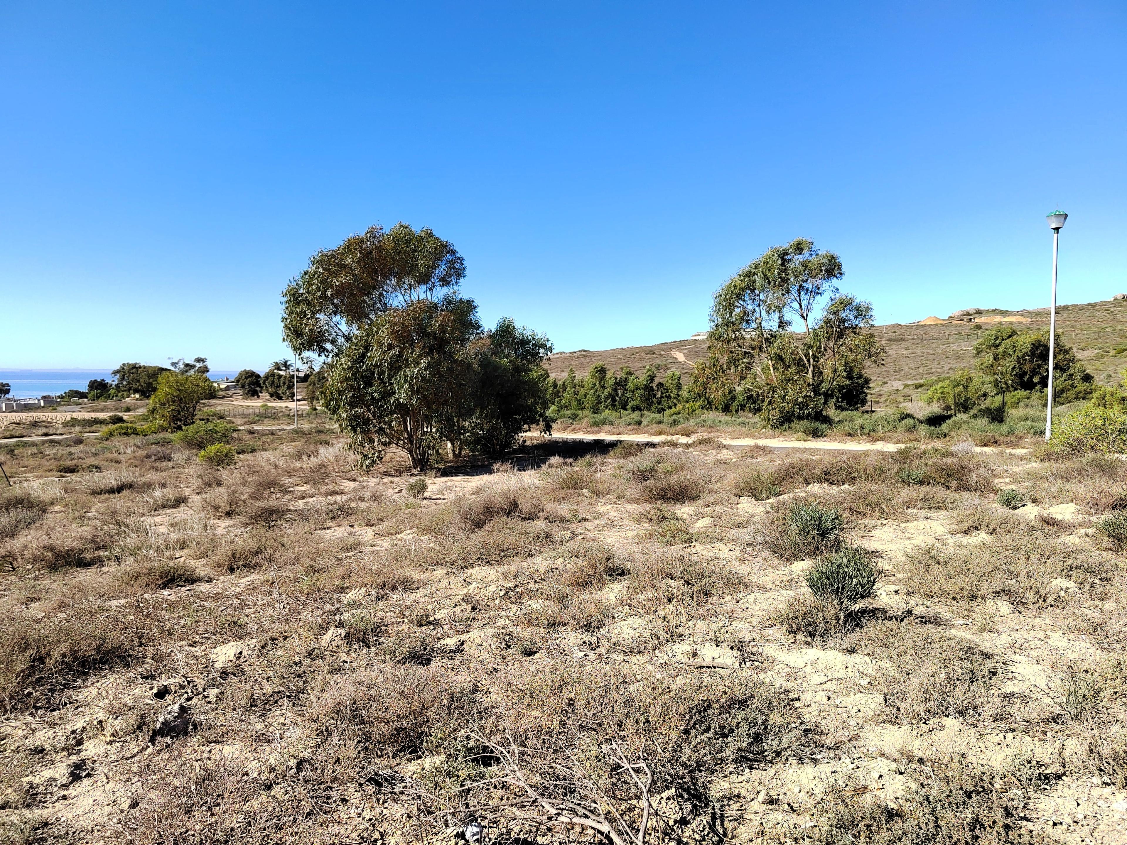 Image 3 of 6