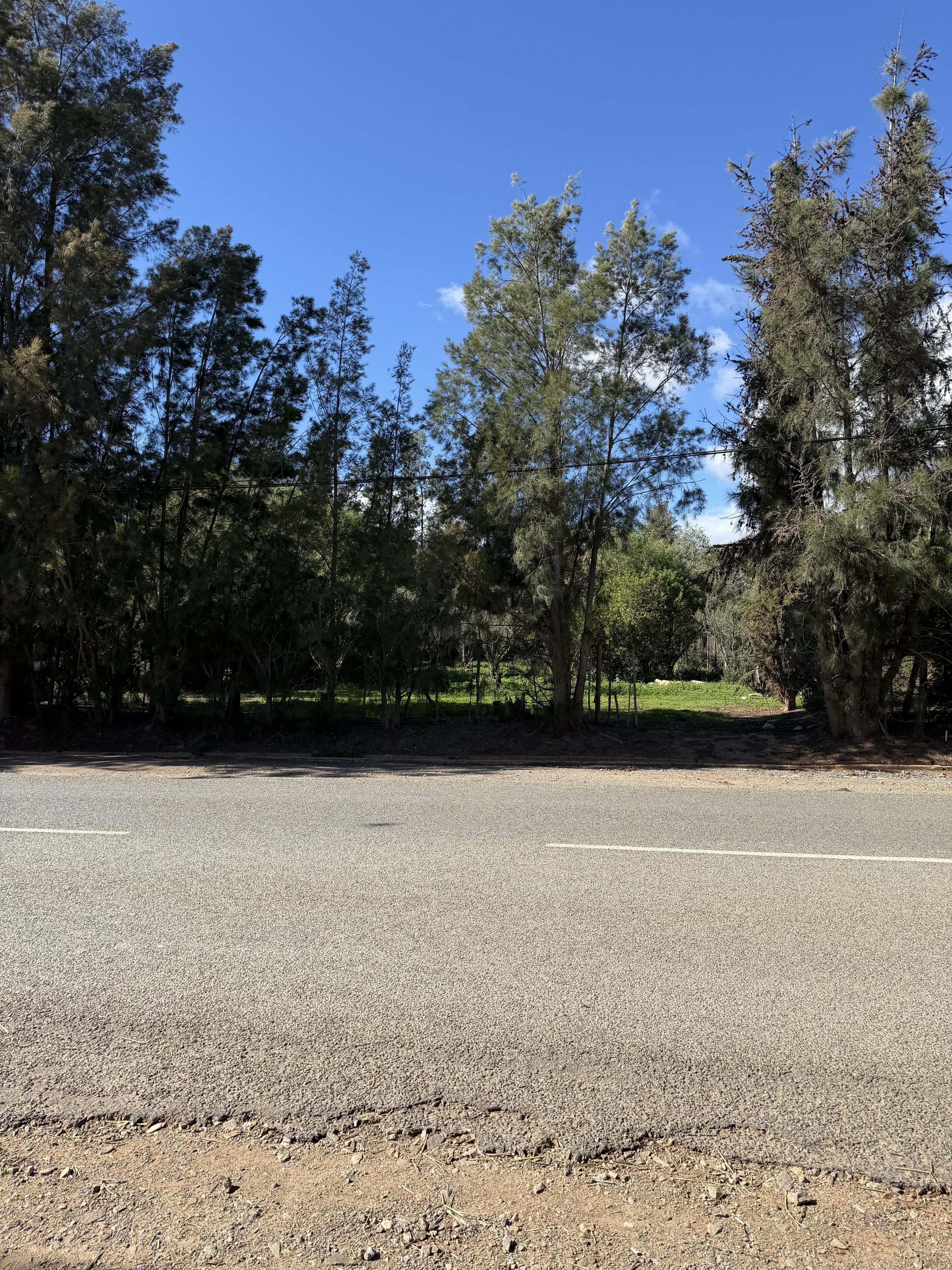Image 4 of 6