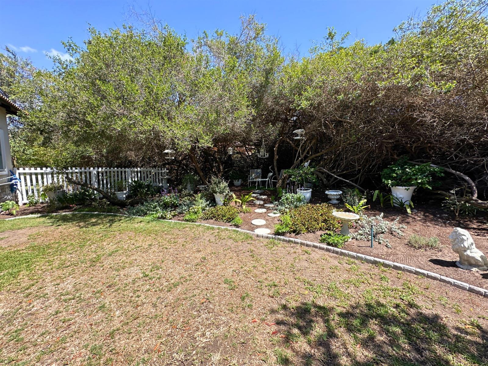 Image 4 of 6