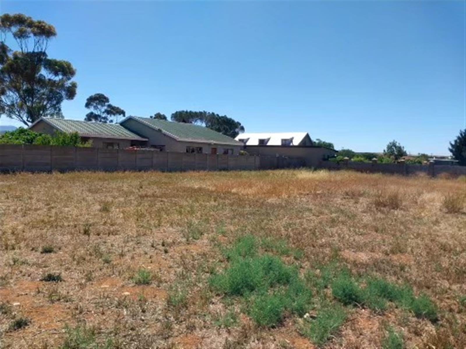 Image 4 of 6
