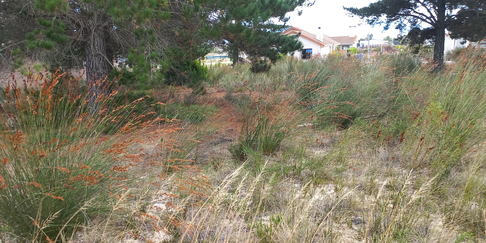 Image 4 of 6