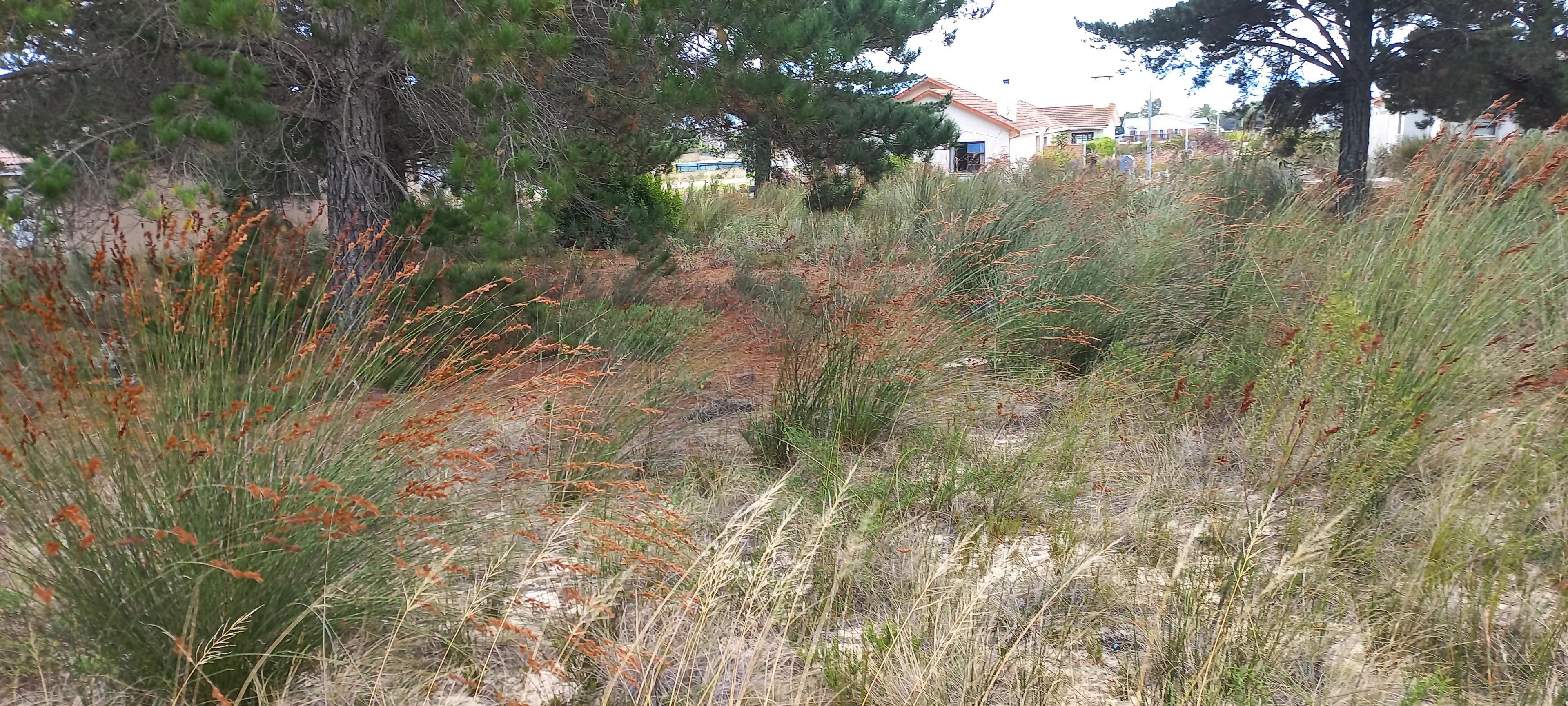 Image 4 of 6