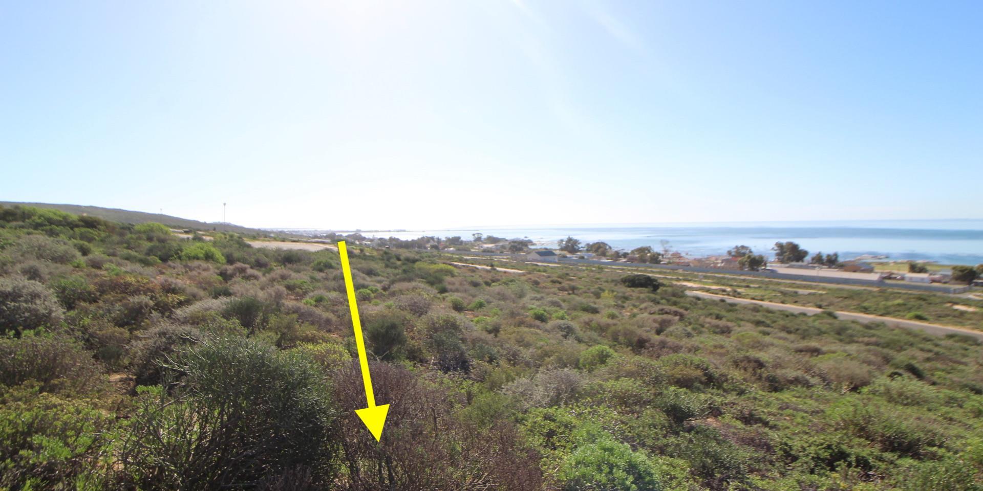 Image 4 of 6