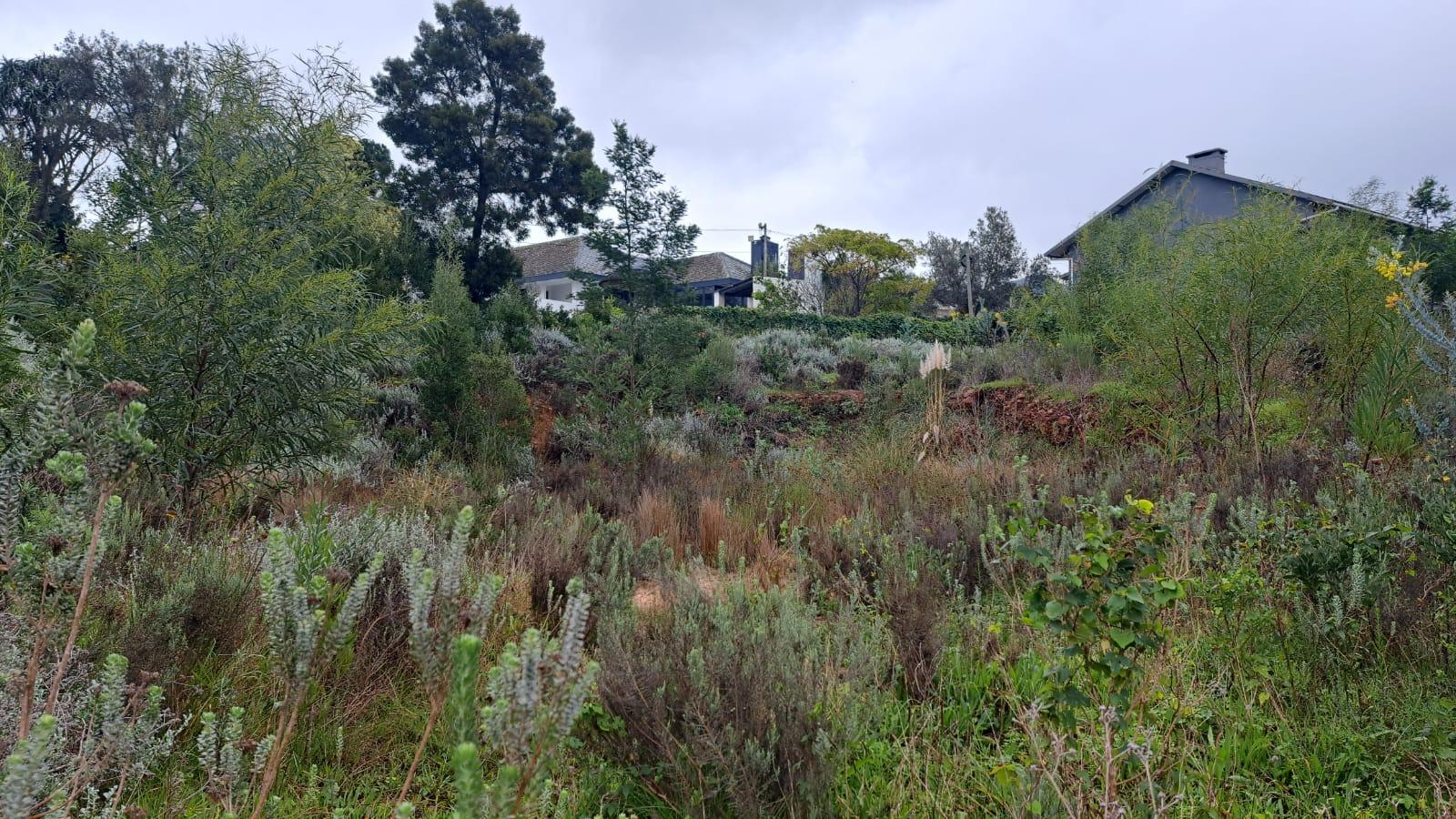 Image 3 of 6