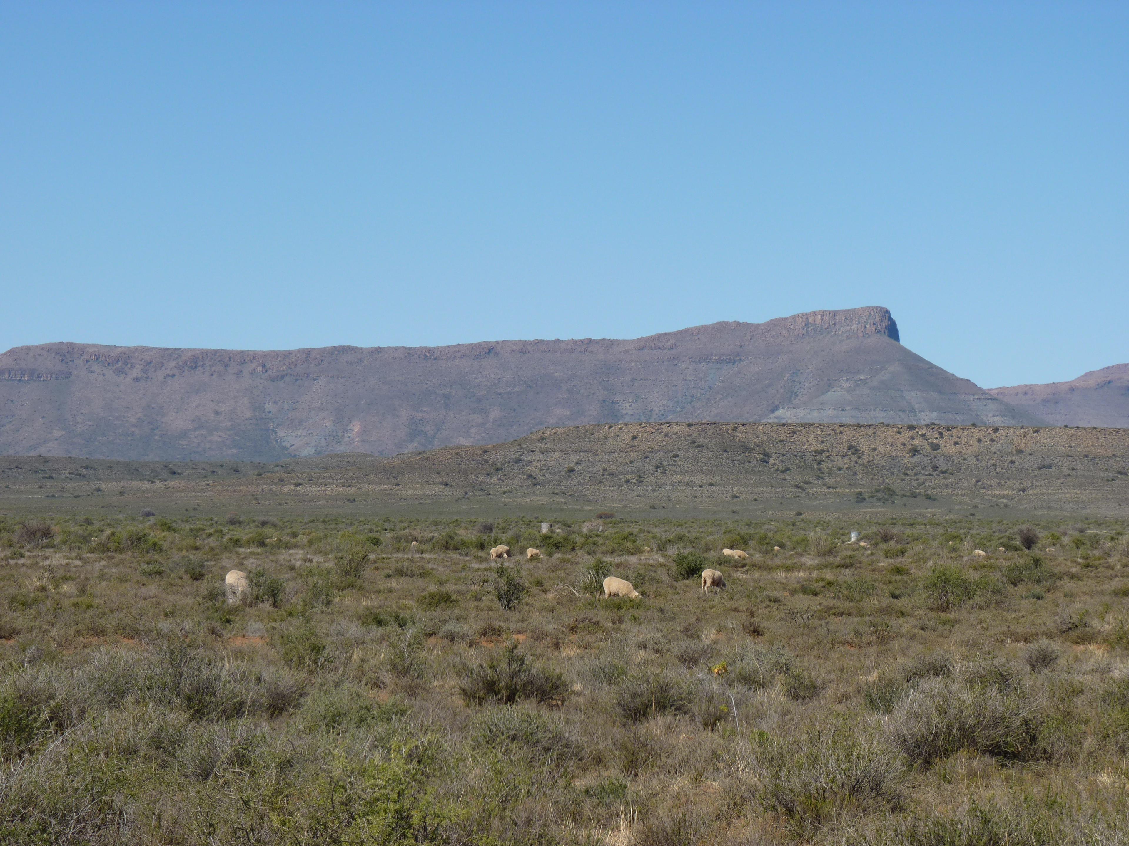 Image 95