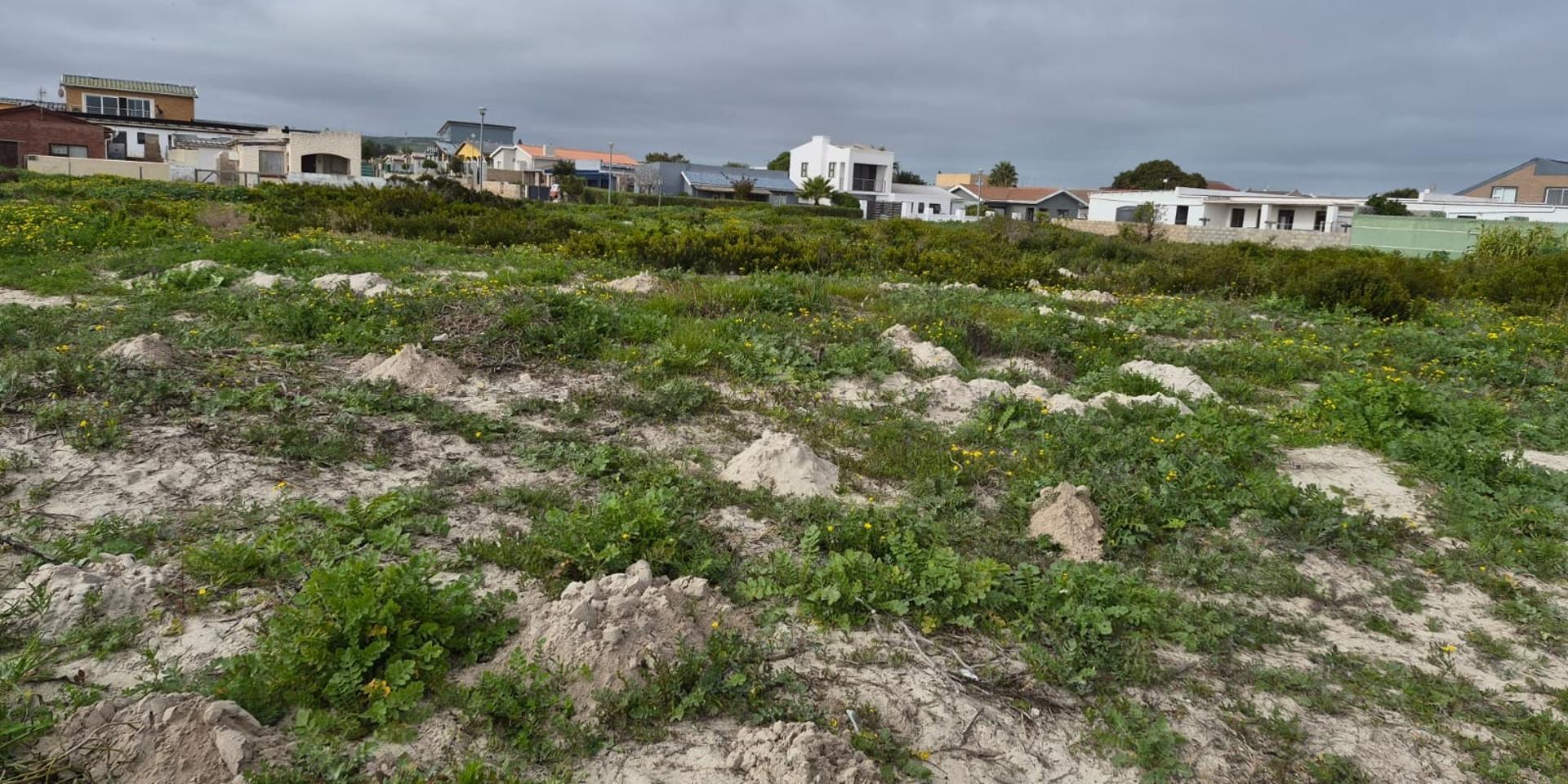 Image 5 of 6
